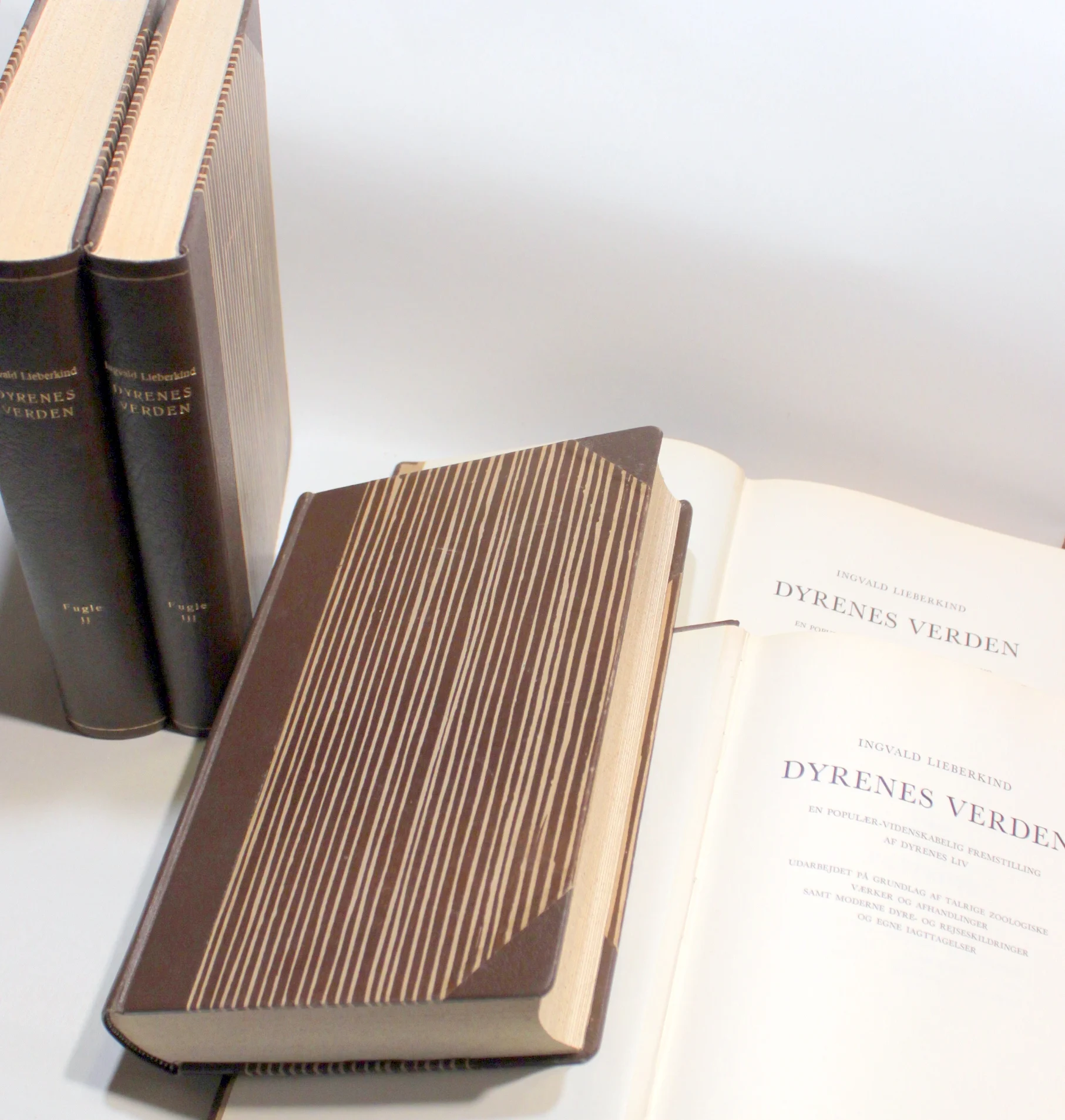 Dyrenes verden – Pattedyr I+II og Fugle I+III