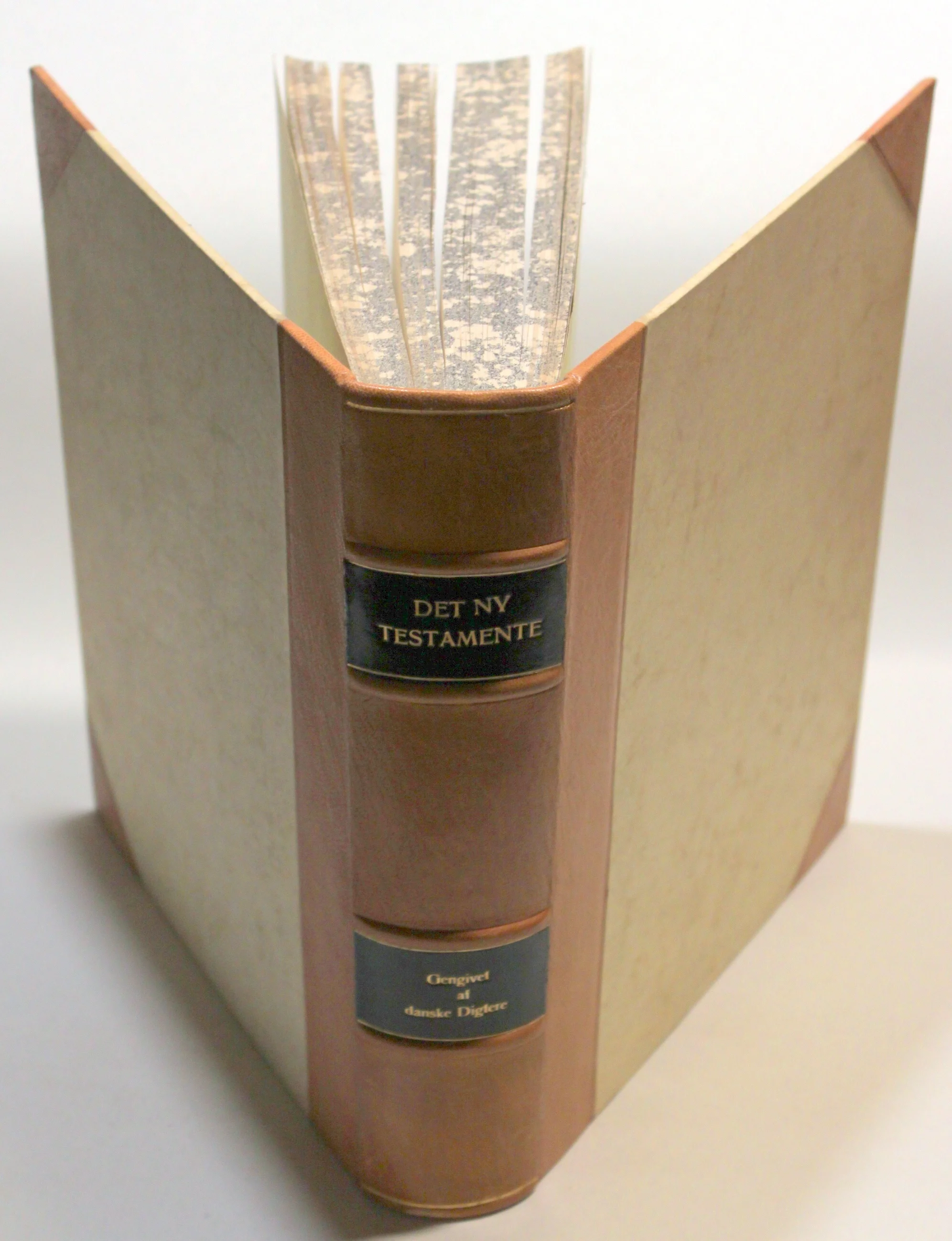 Det ny Testamente gengivet af danske digtere