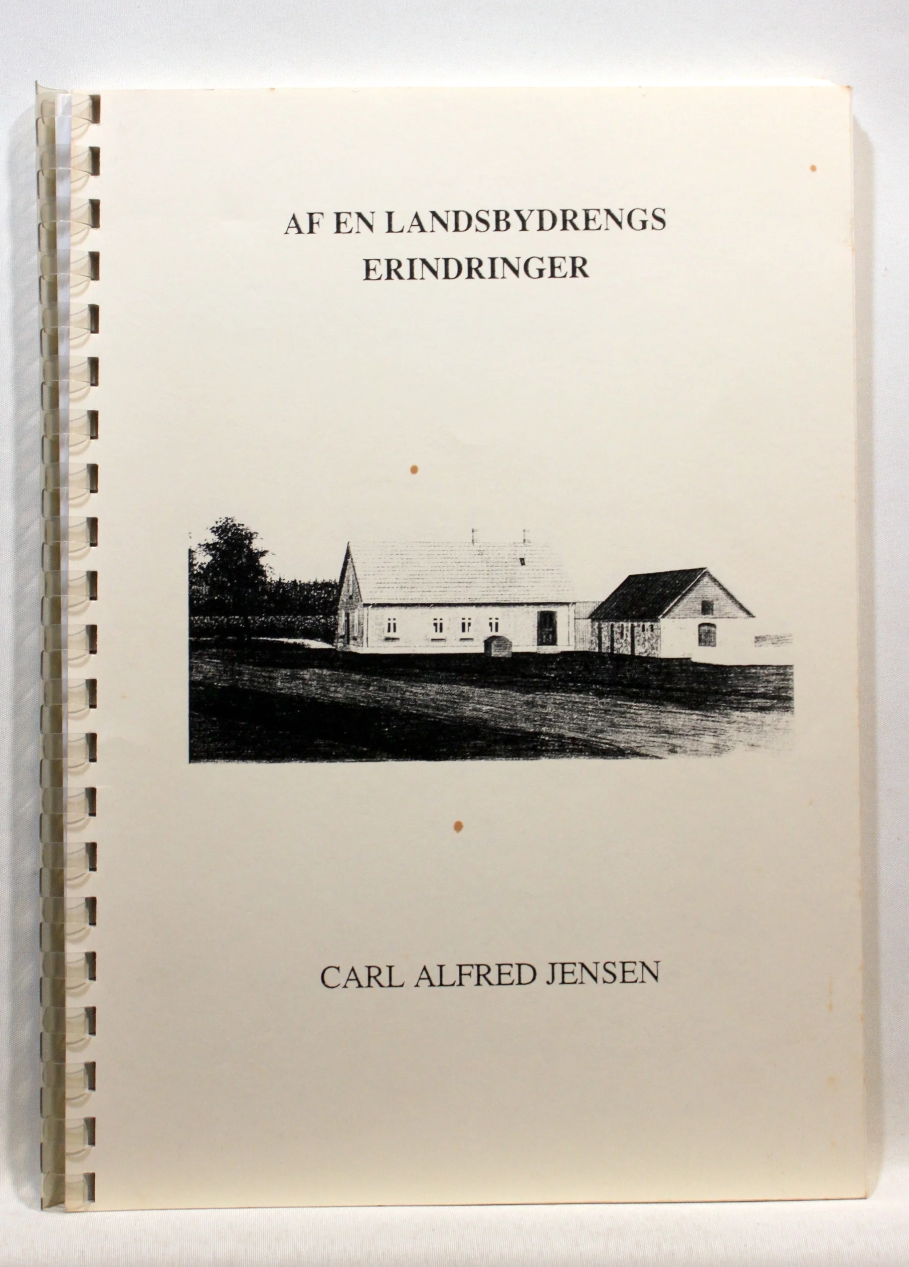 Af en landsbydrengs erindringer