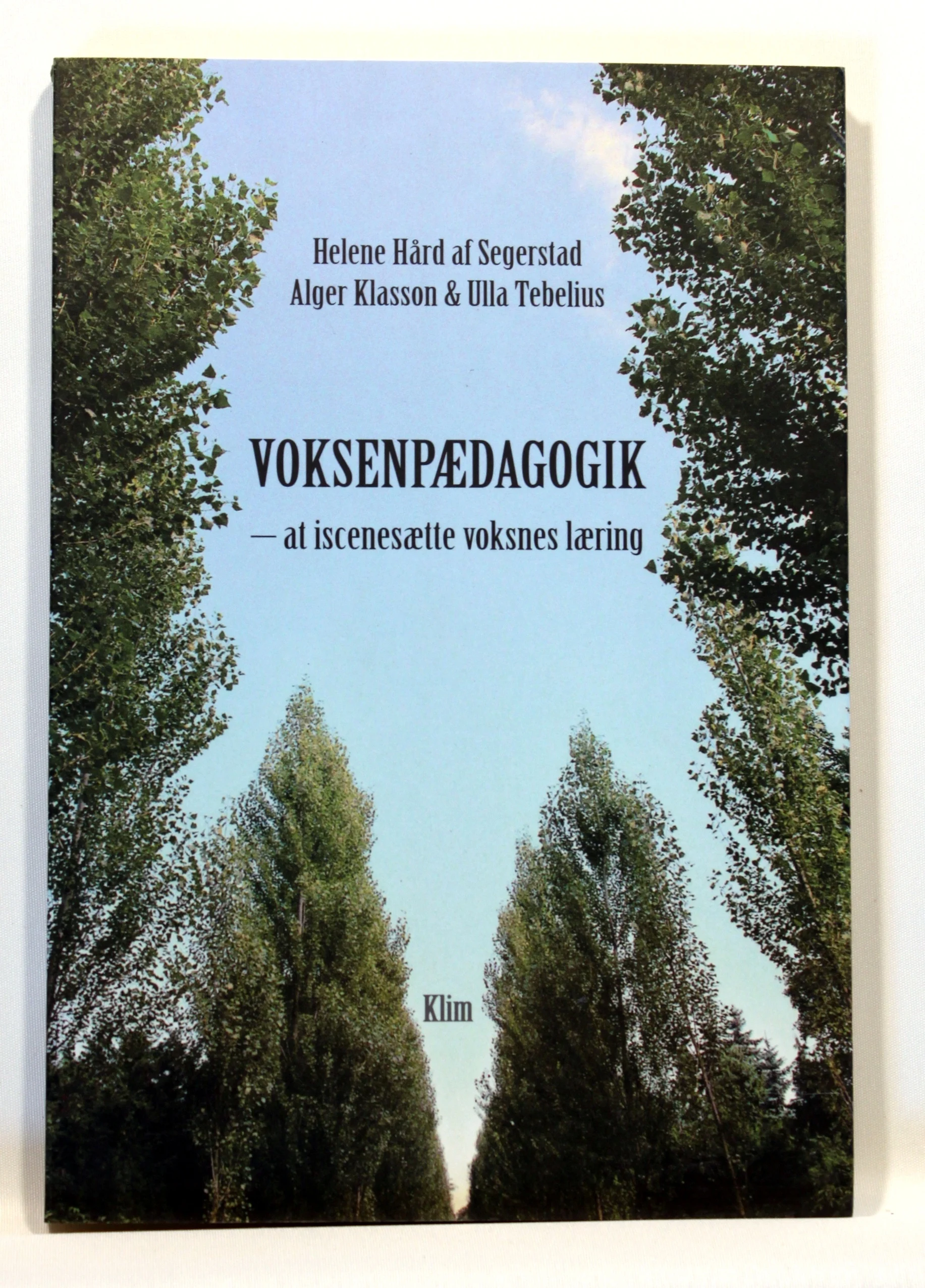 Voksenpædagogik – at iscenesætte voksnes læring