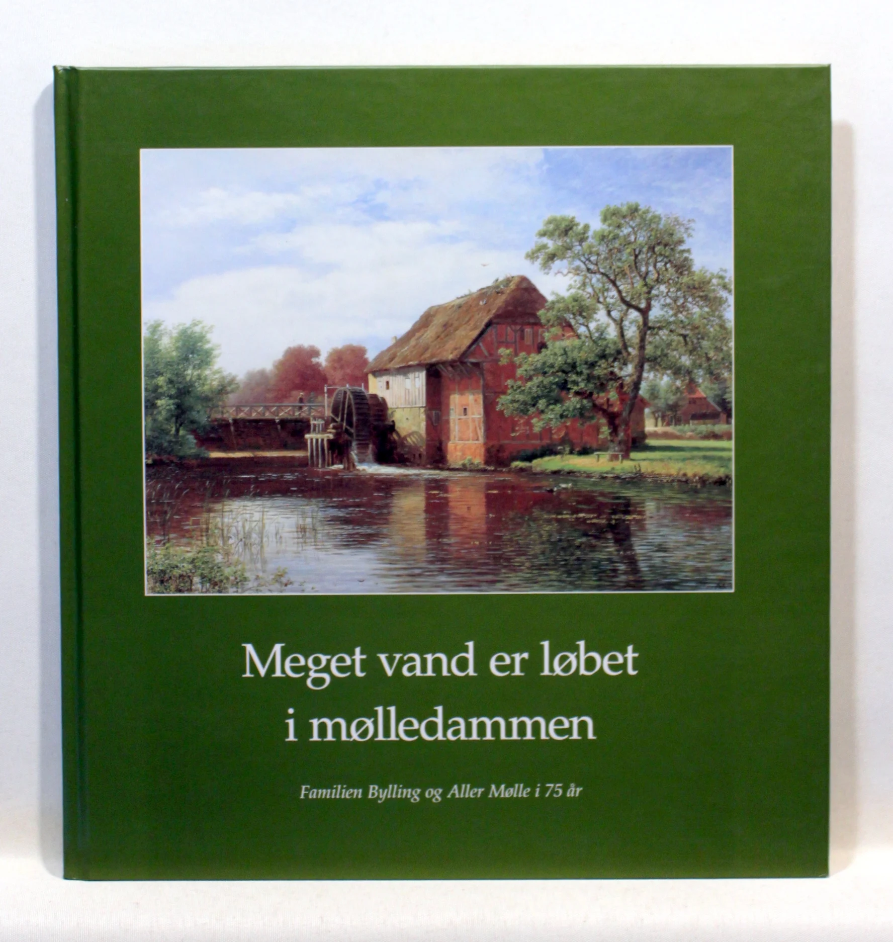 Meget vand er løbet i mølledammen