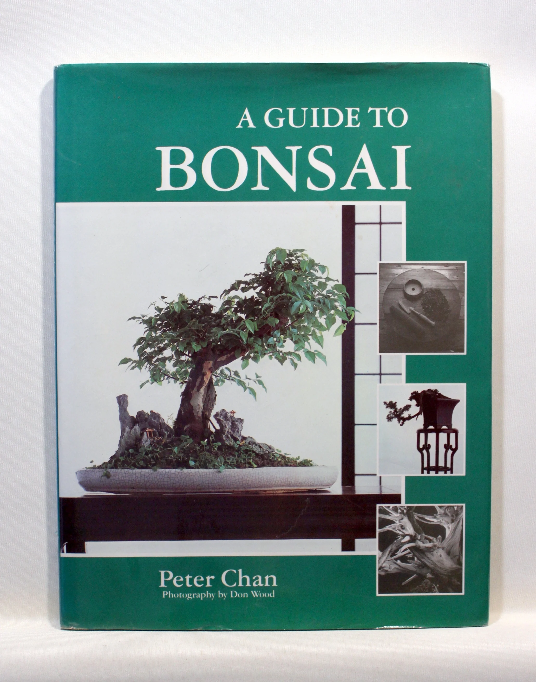 A guide to bonsai