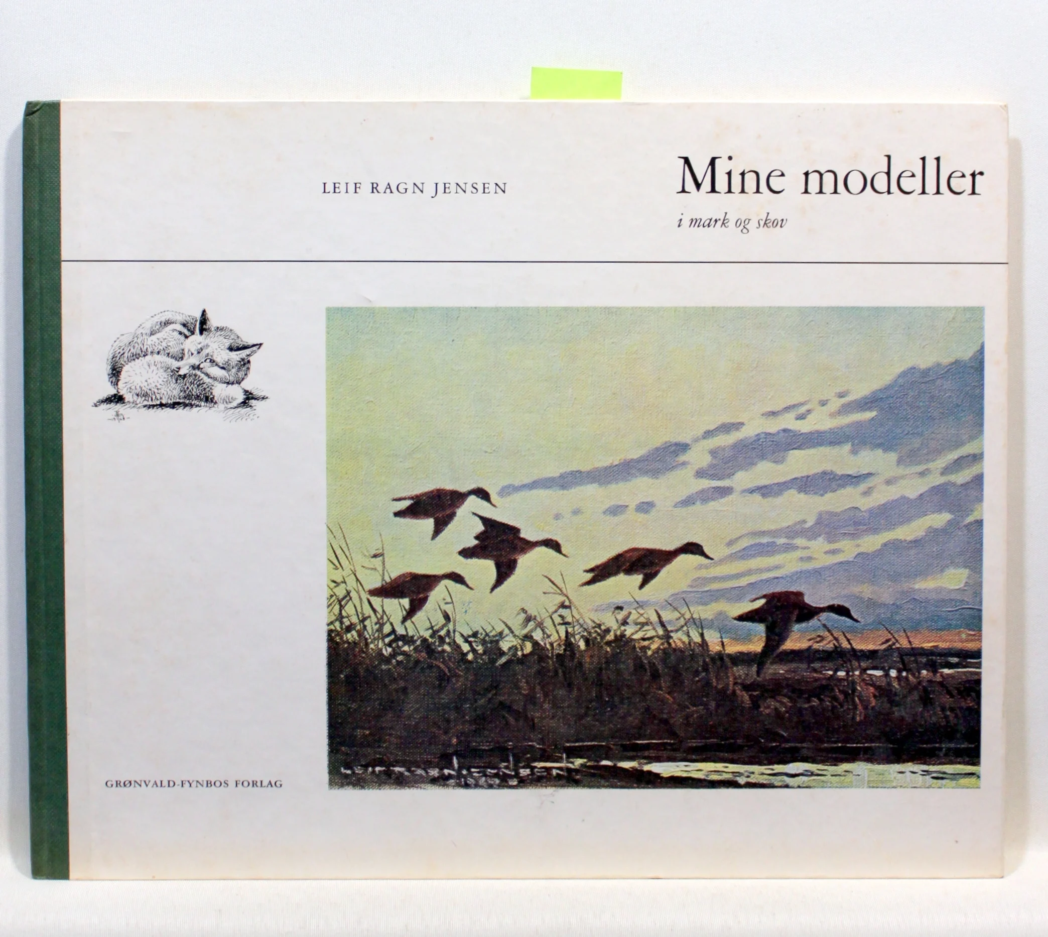 Mine modeller i mark og skov