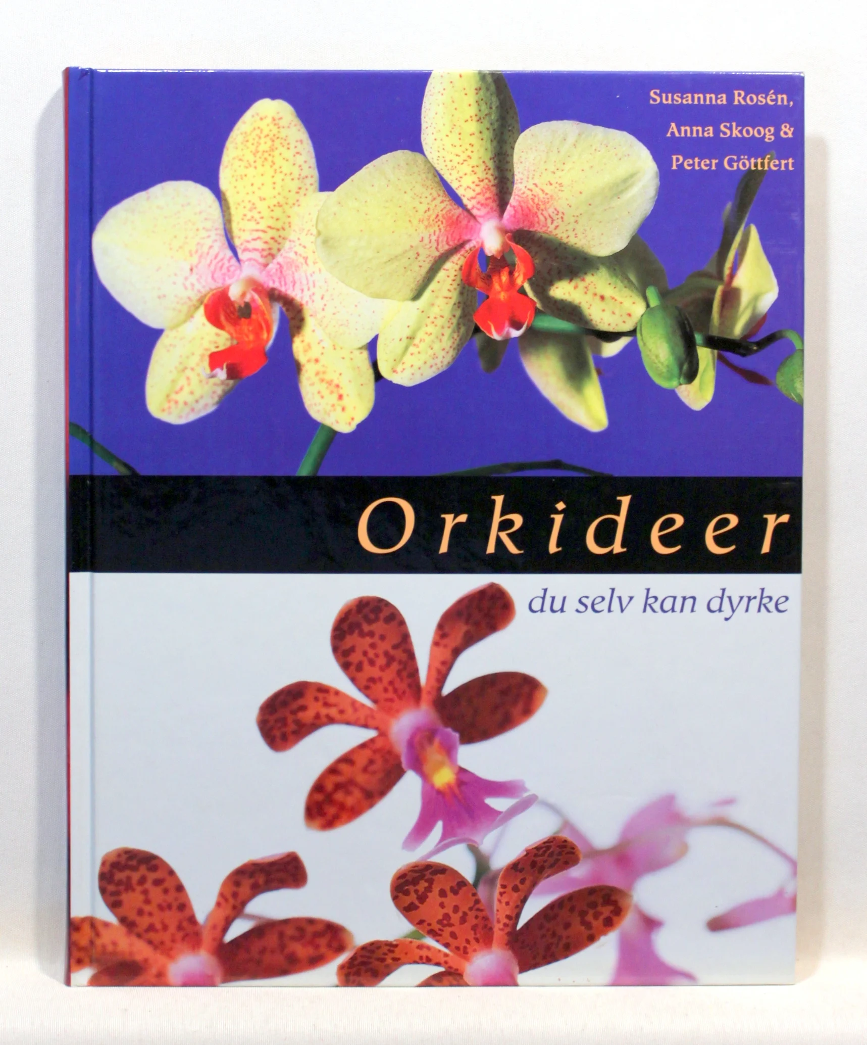 Orkideer du selv kan dyrke