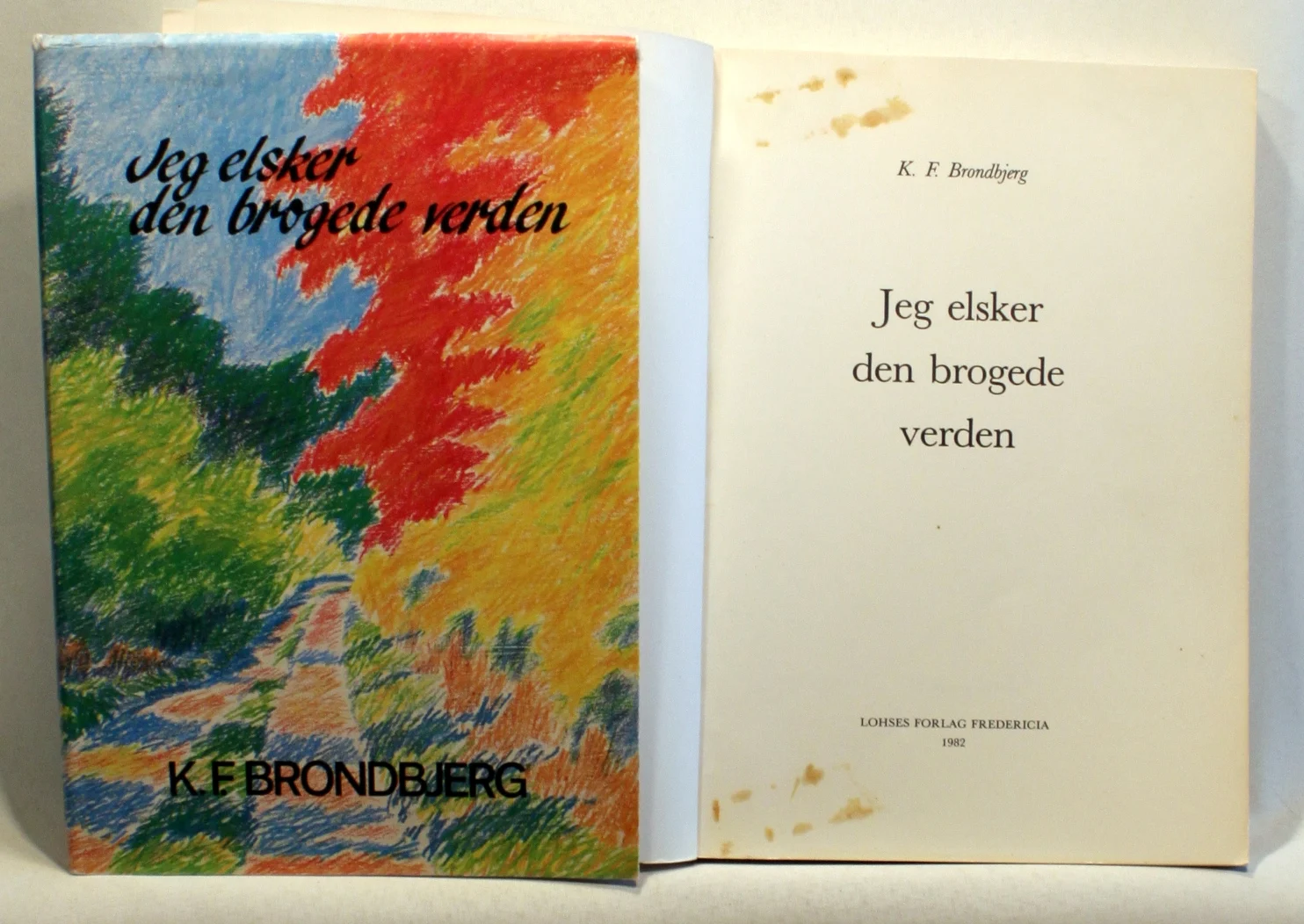 Jeg elsker den brogede verden