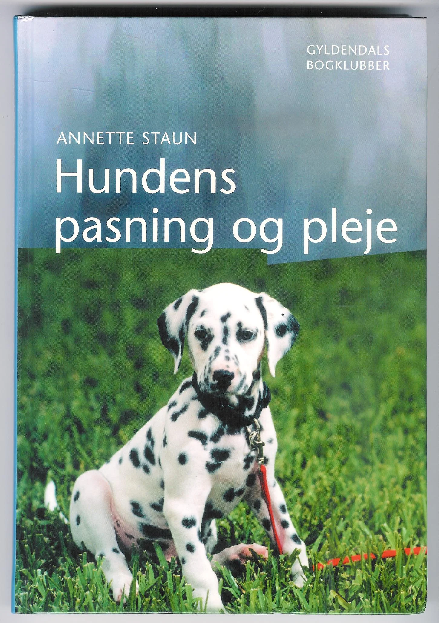 Hundens pasning og pleje