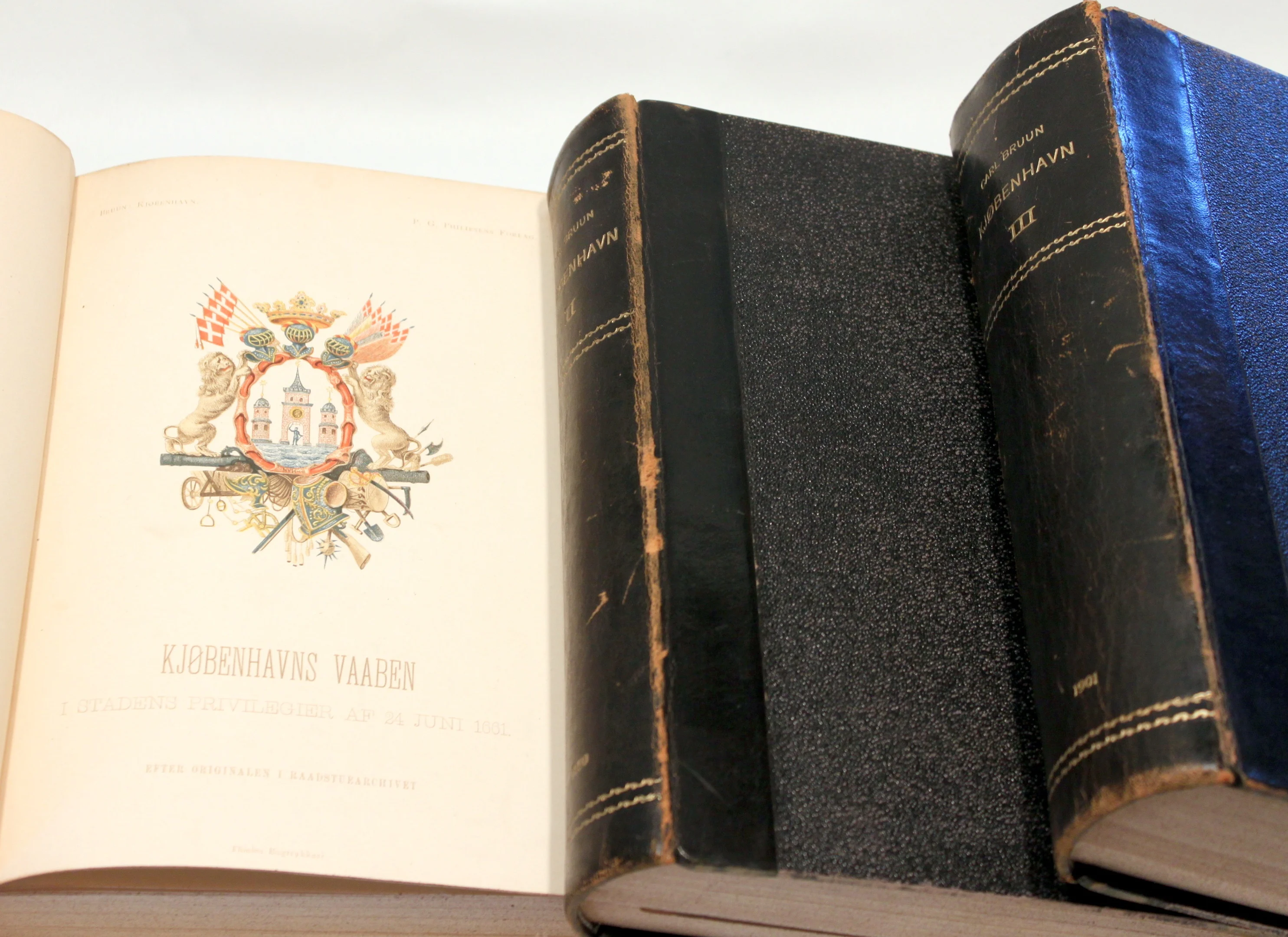 Kjøbenhavn. En illustreret skildring af dets historie, mindesmærker og institutioner