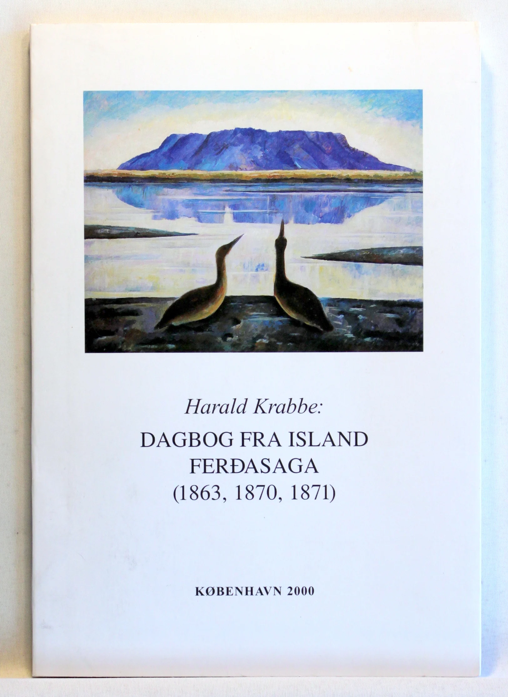 Dagbog fra tre rejser til Island i årene 1863-1871