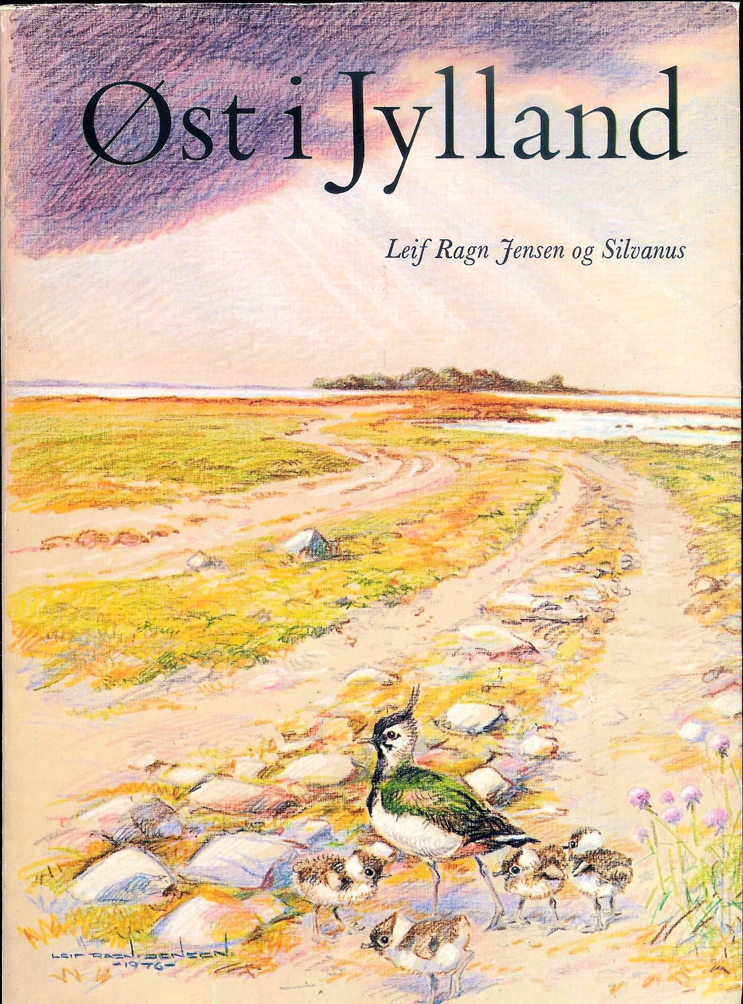Øst i Jylland
