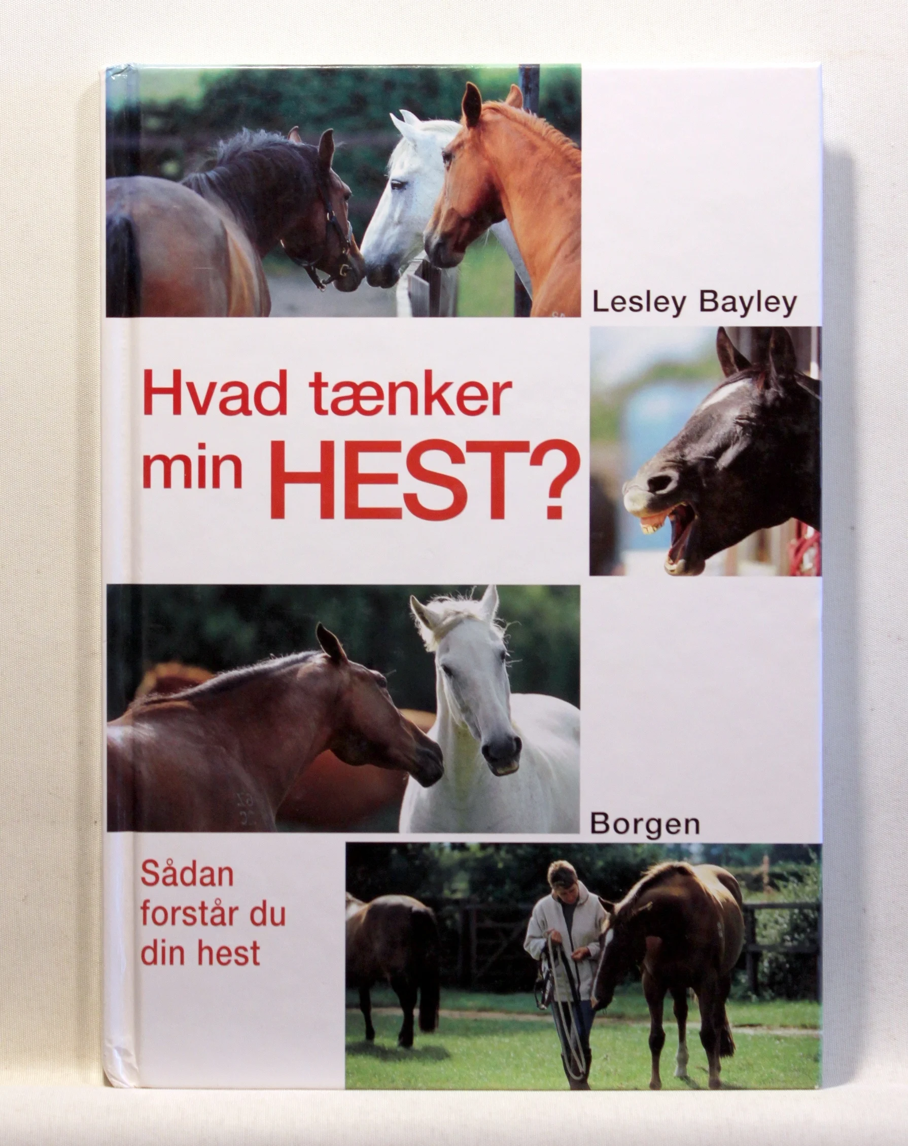 Hvad tænker min hest? Sådan forstår du din hest