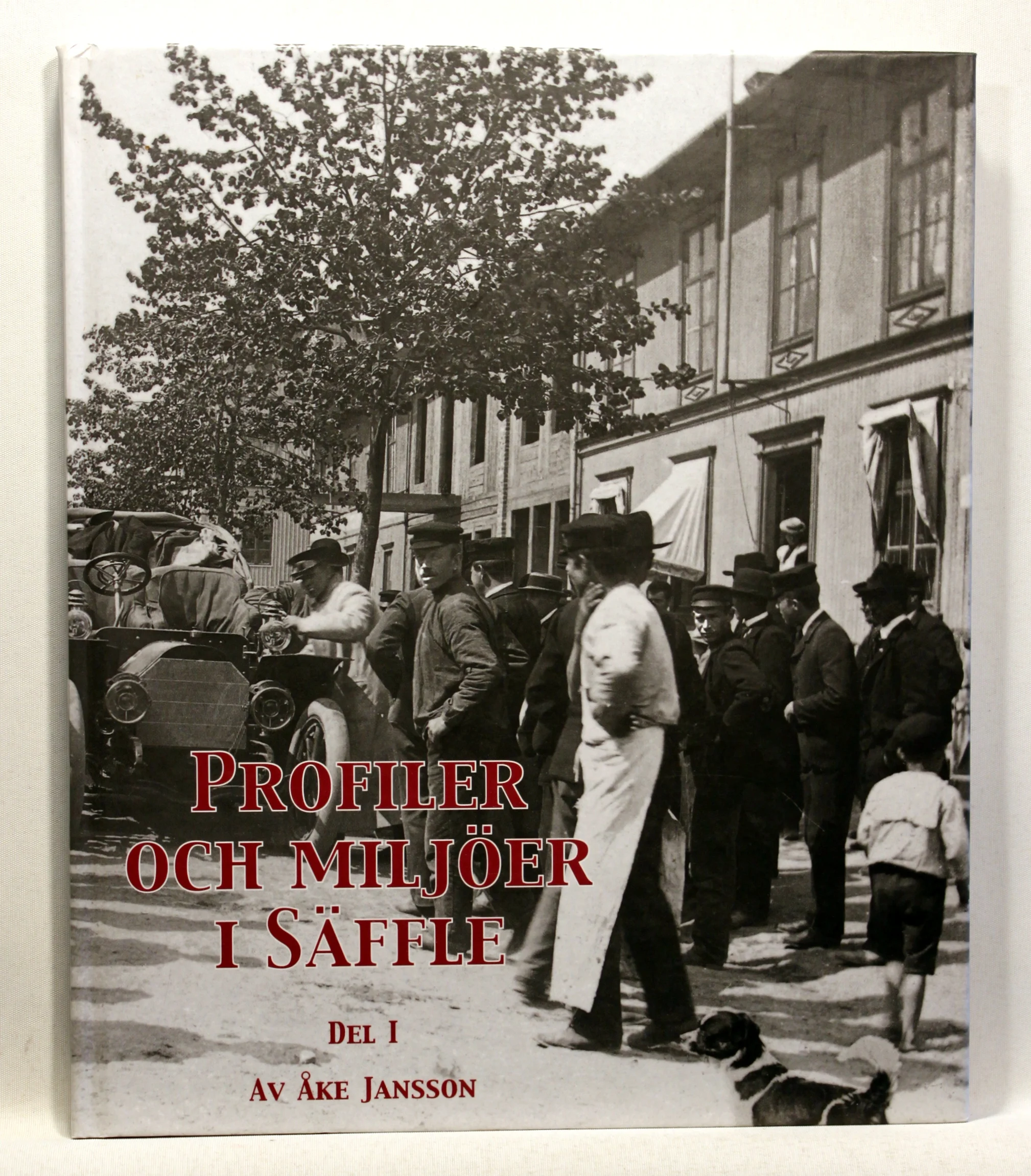 Profiler och miljöer i Säffle. Del 1