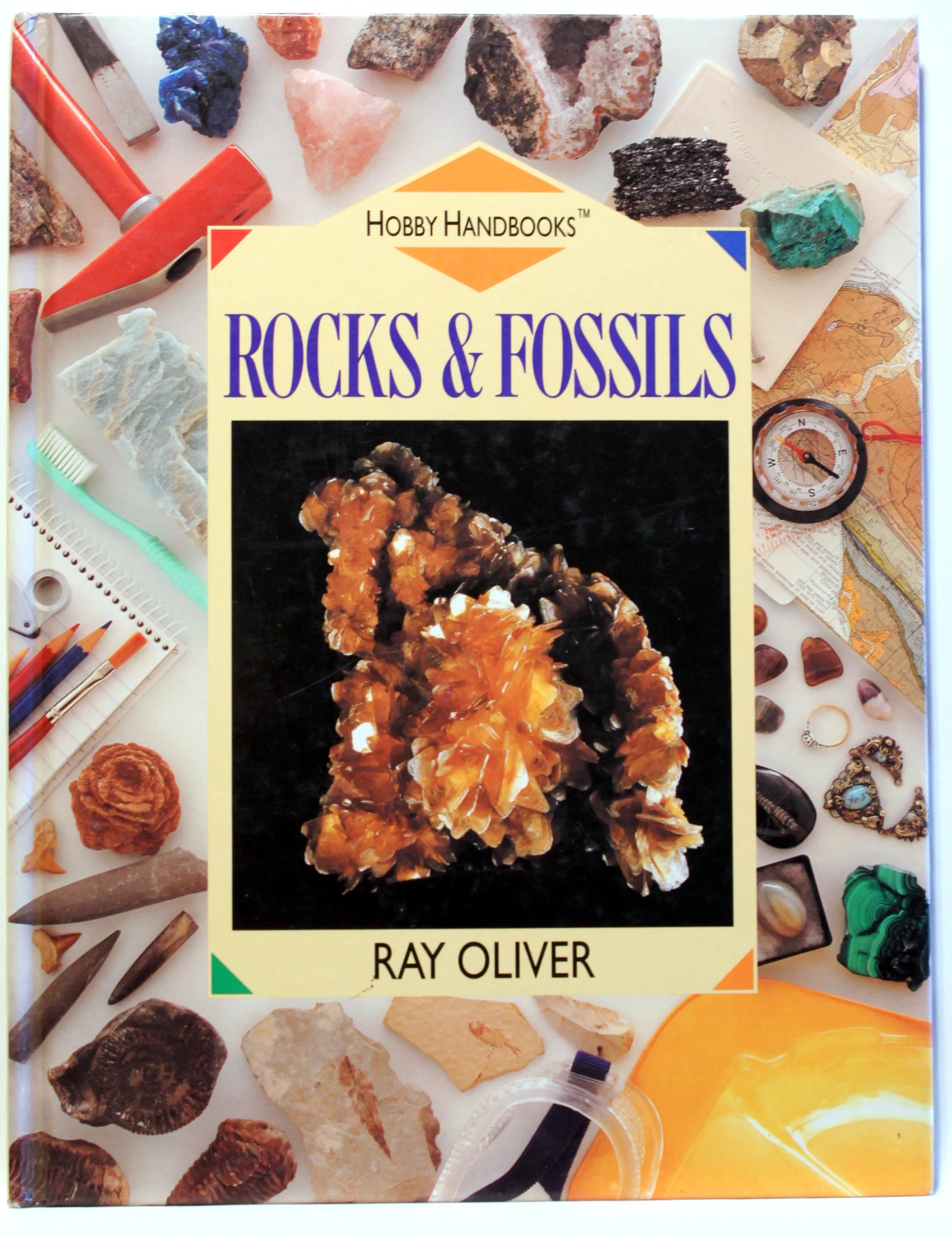Rocks & Fossils