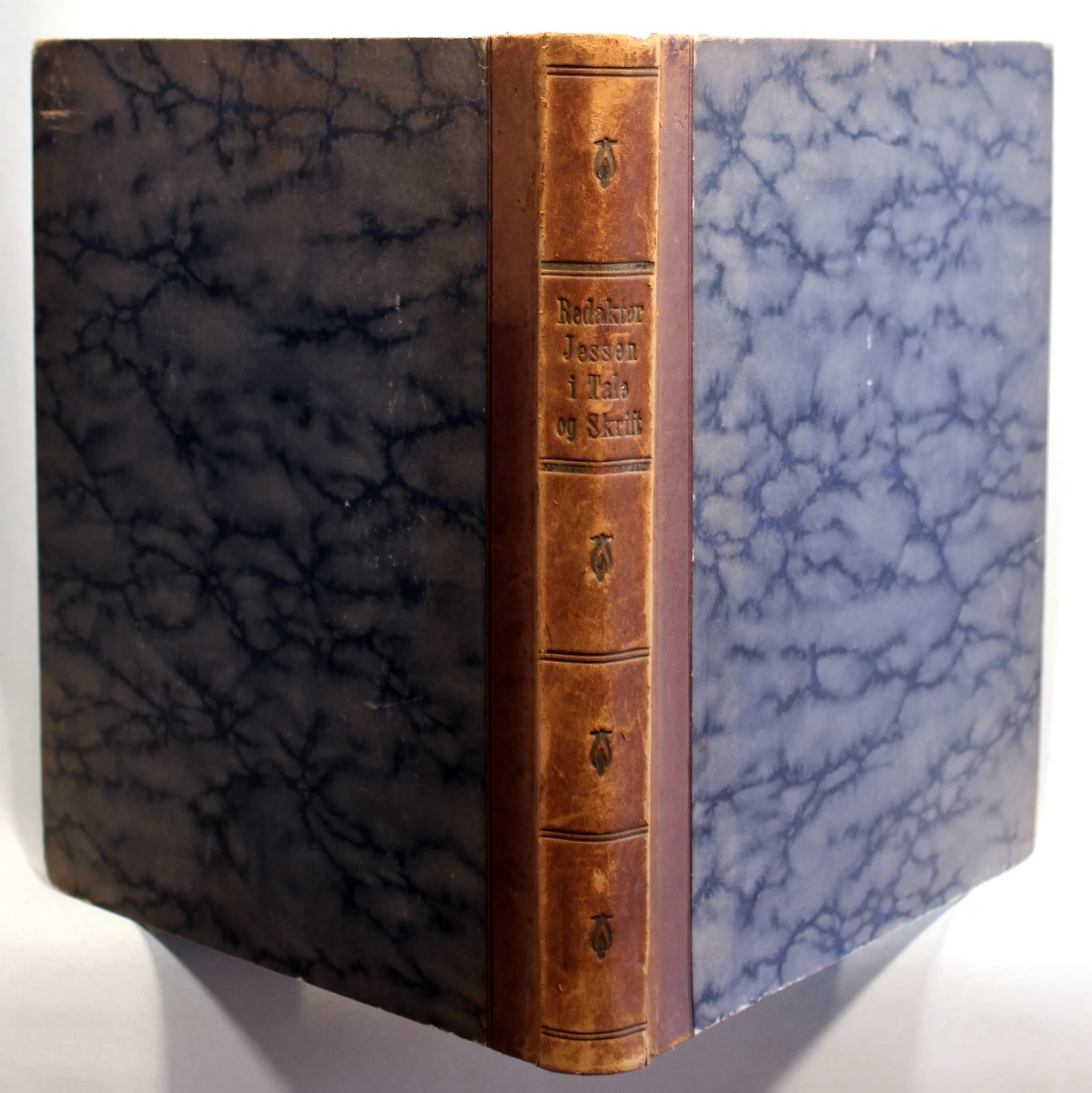 Redaktør Jessen i Tale og Skrift. I udvalg ved Marie Jessen, F. Fibiger.