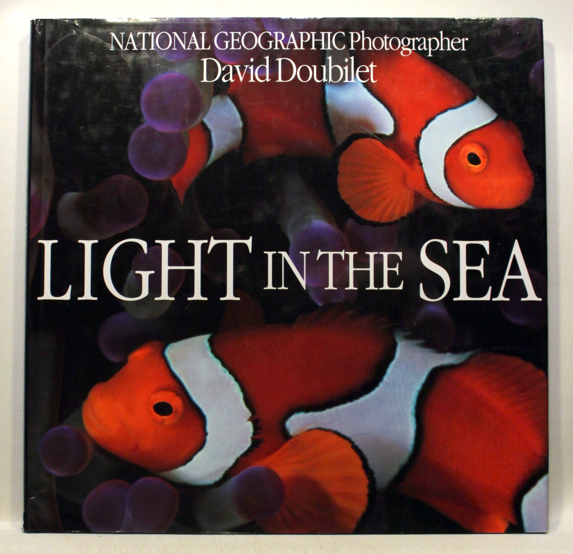 Light in the sea. Evergreen