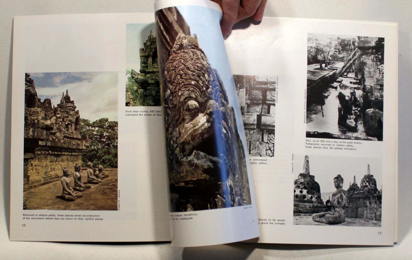 Borobudur beauty in peril