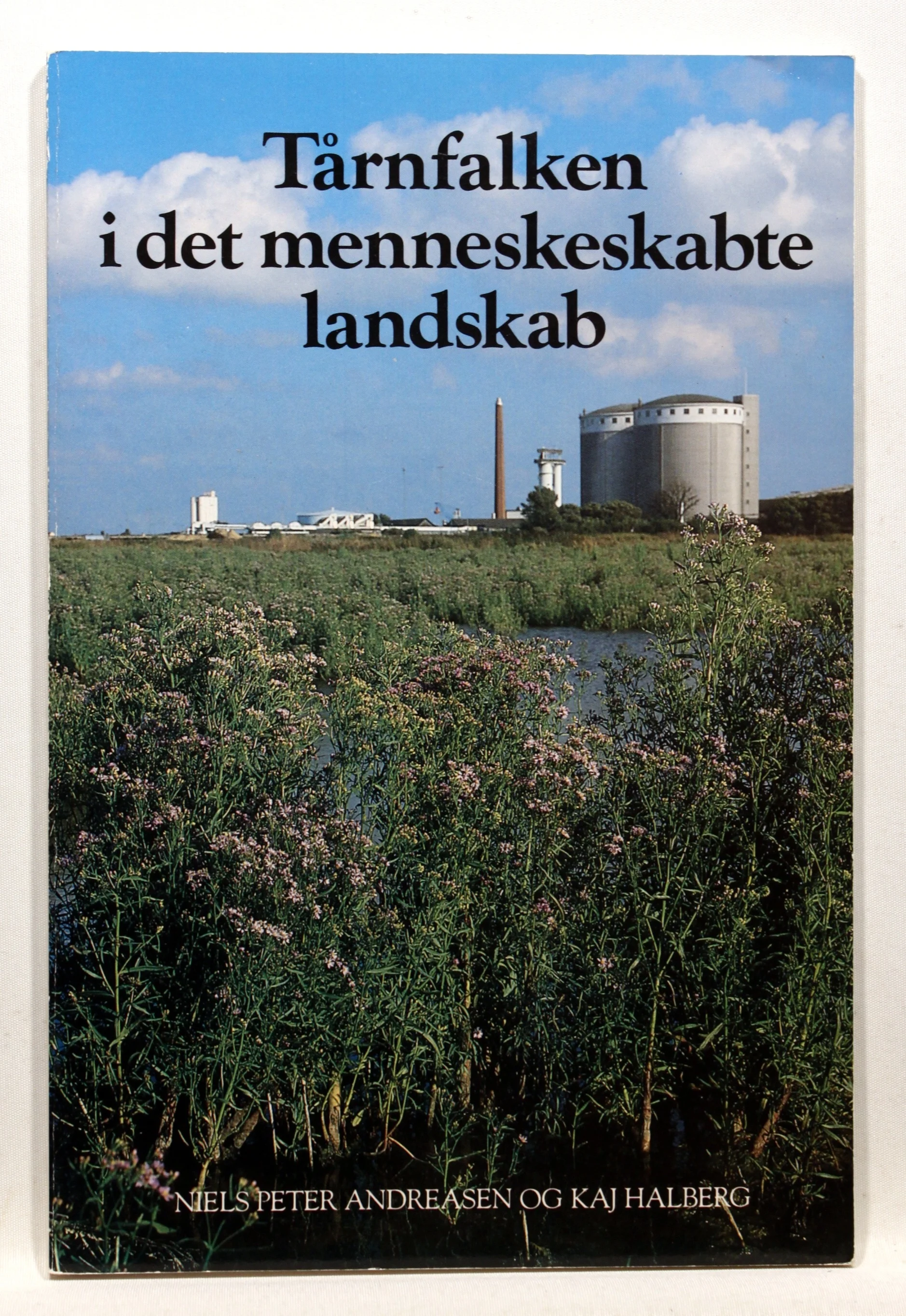 Tårnfalken i det menneskeskabte landskab