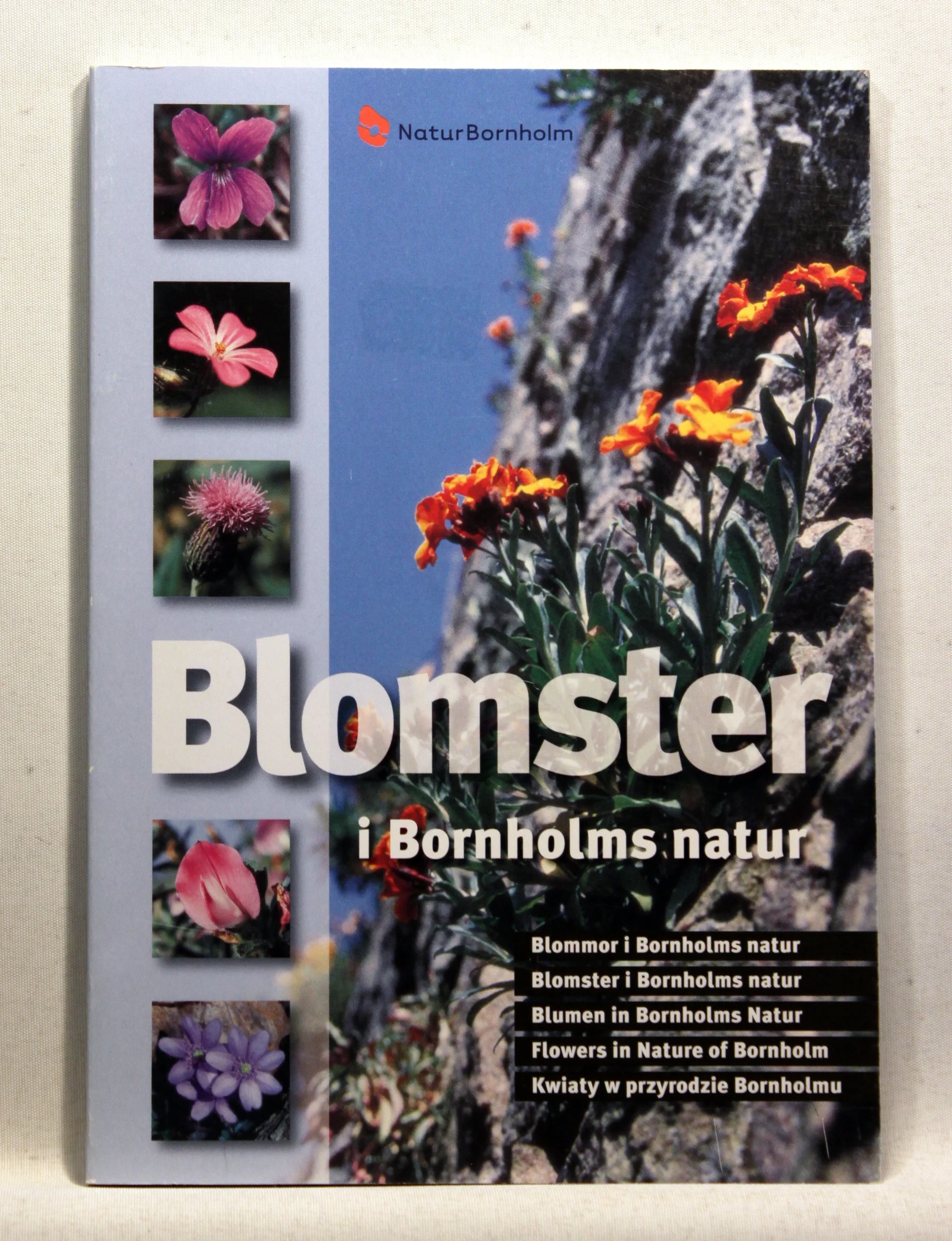 Blomster i Bornholms natur