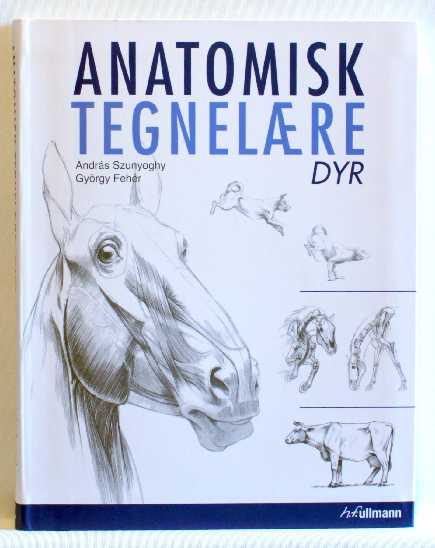 Anatomisk tegnelære. Dyr