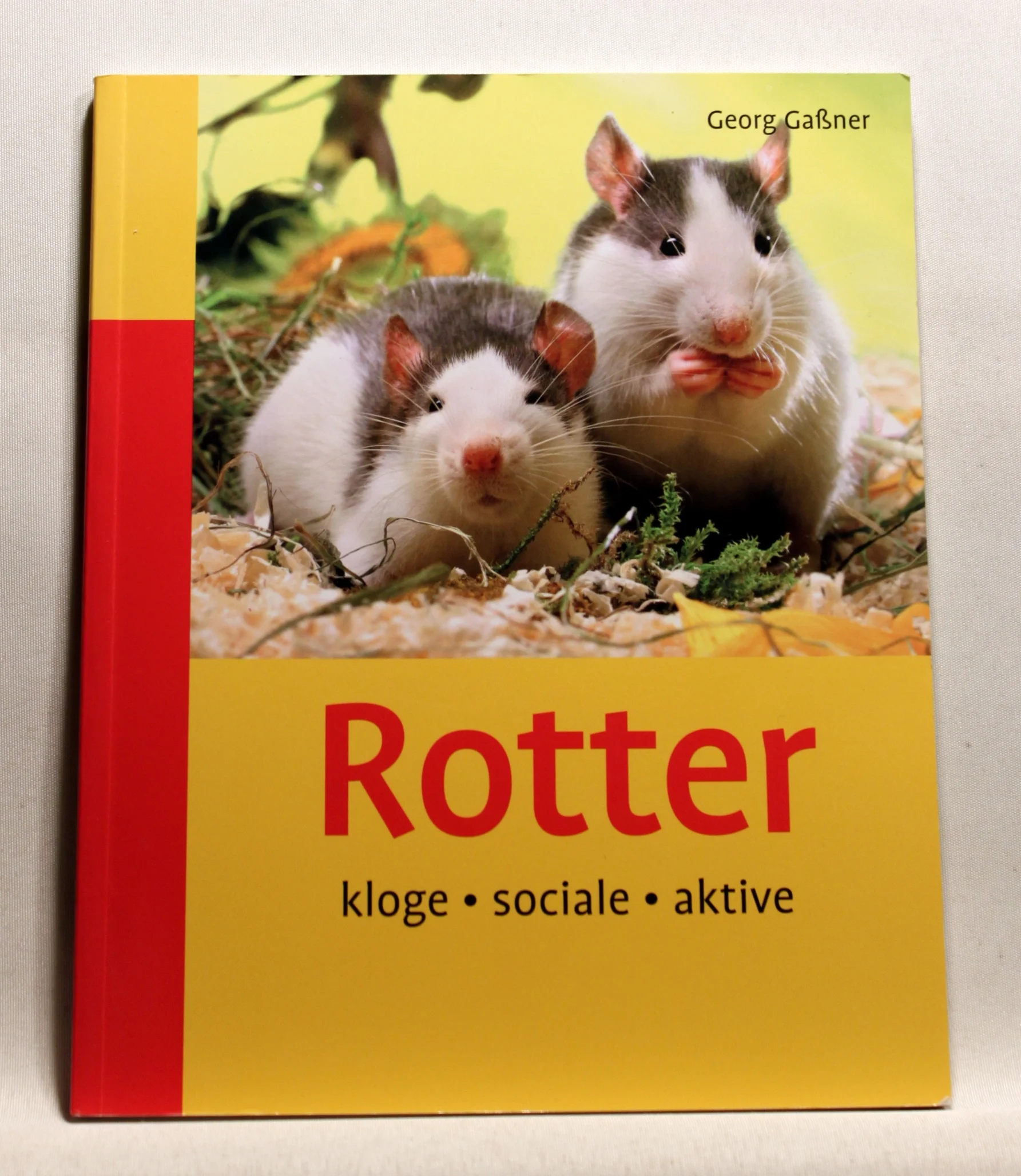 Rotter – kloge, sociale, aktive