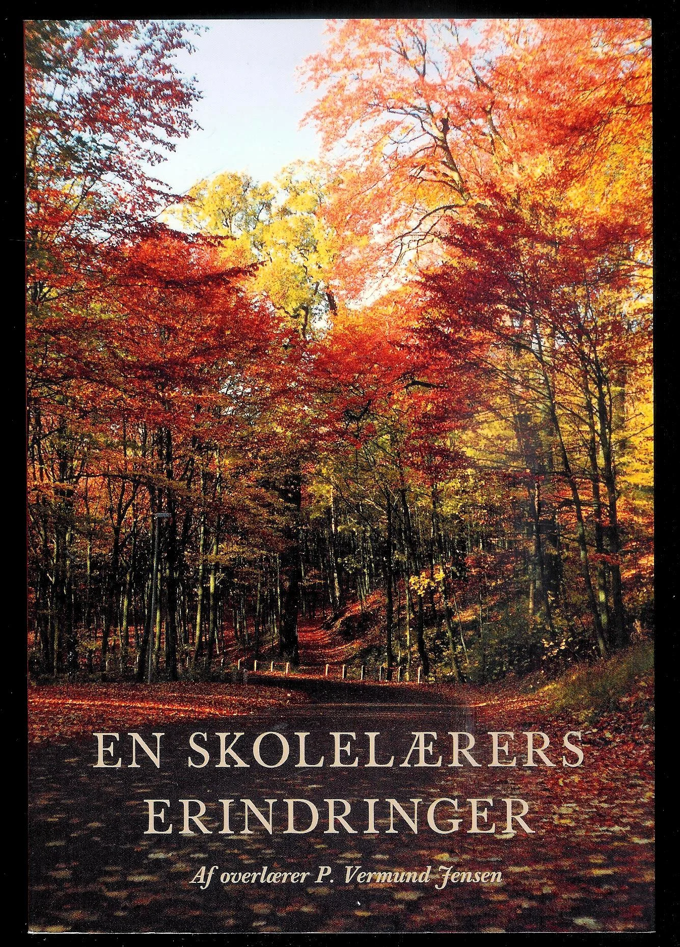 En skolelærers erindringer