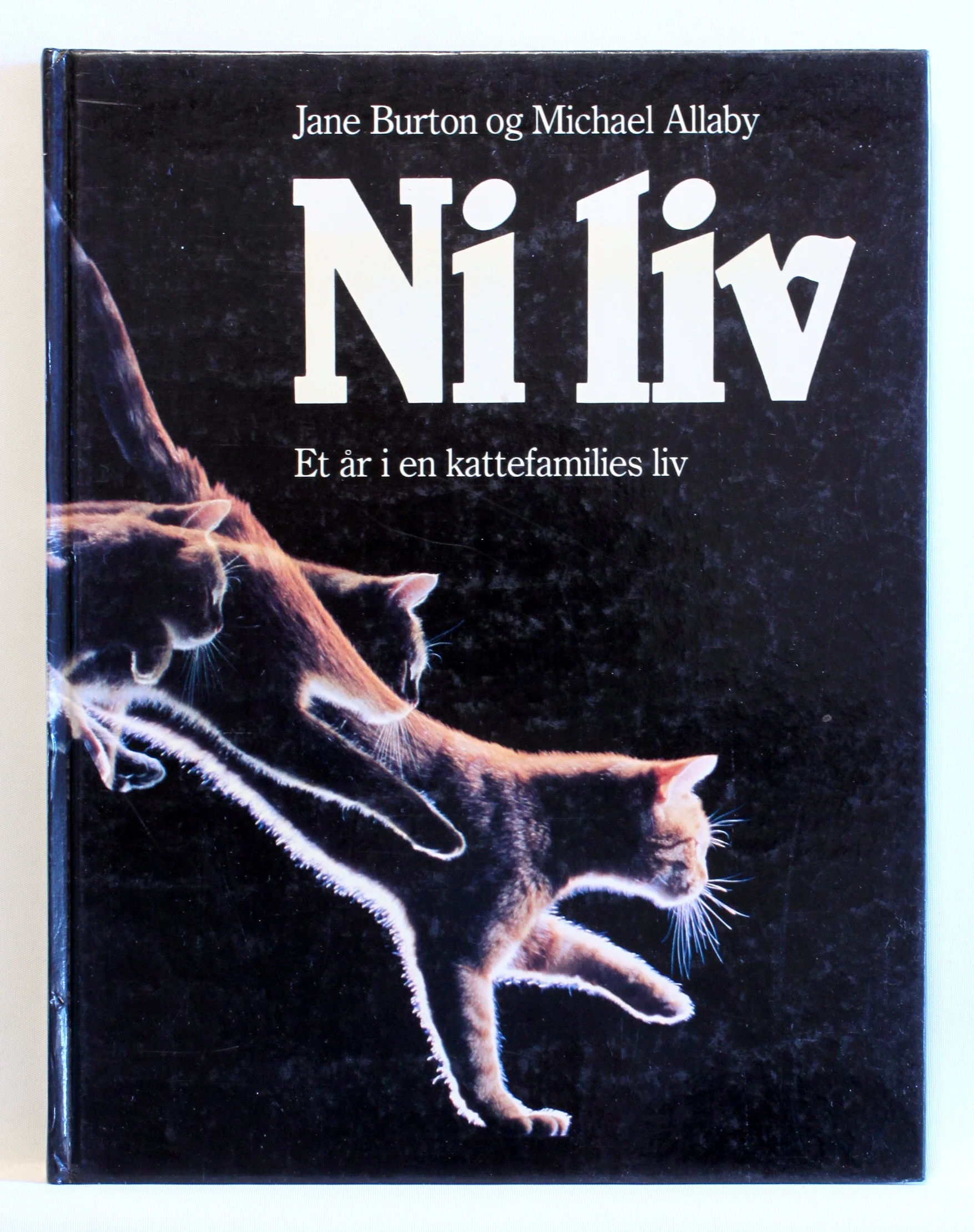 Ni liv. Et år i en kattefamilies liv