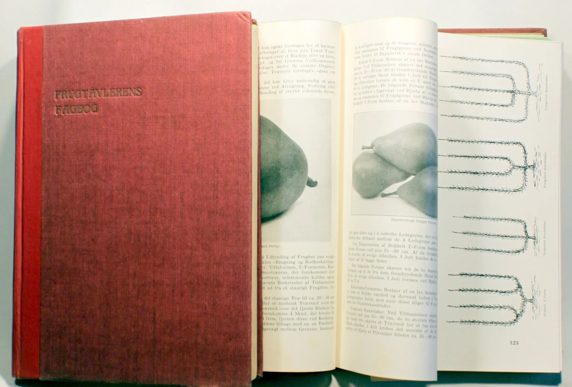 Frugtavlerens fagbog. 2 bind