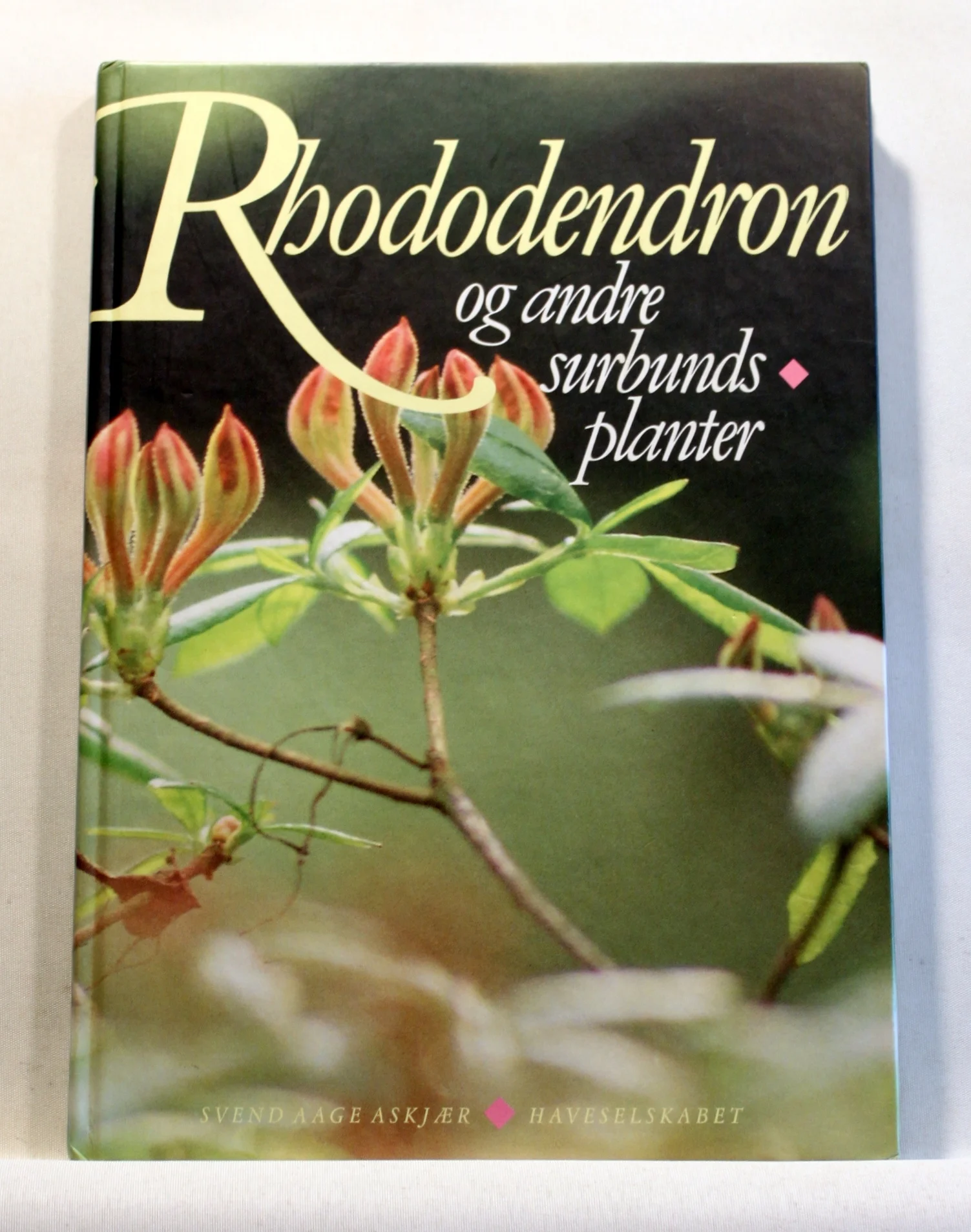 Rododendron og andre surbunds planter