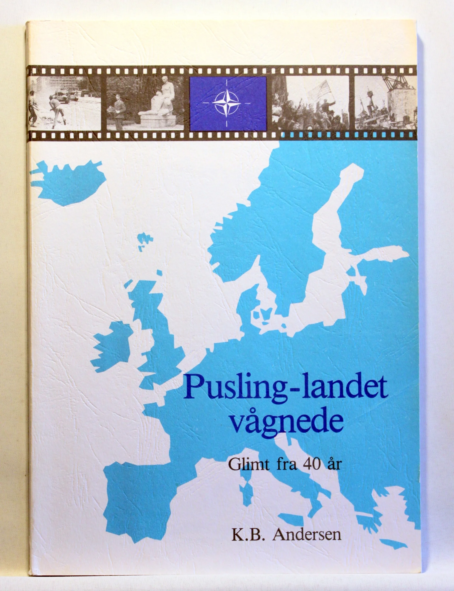 Pusling-landet vågnede. Glimt fra 40 år