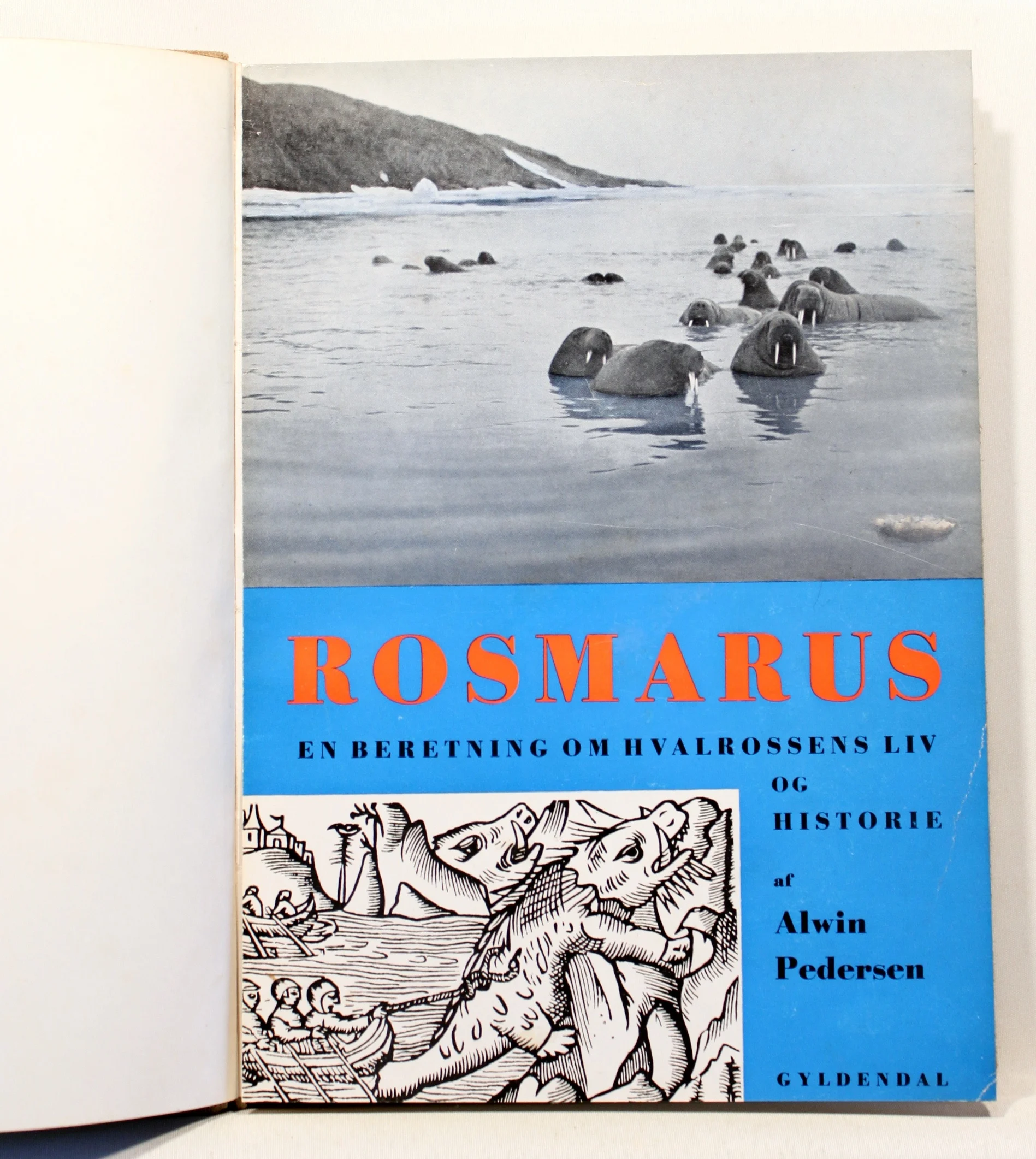 Rosmarus. En beretning om hvalrossens liv og historie