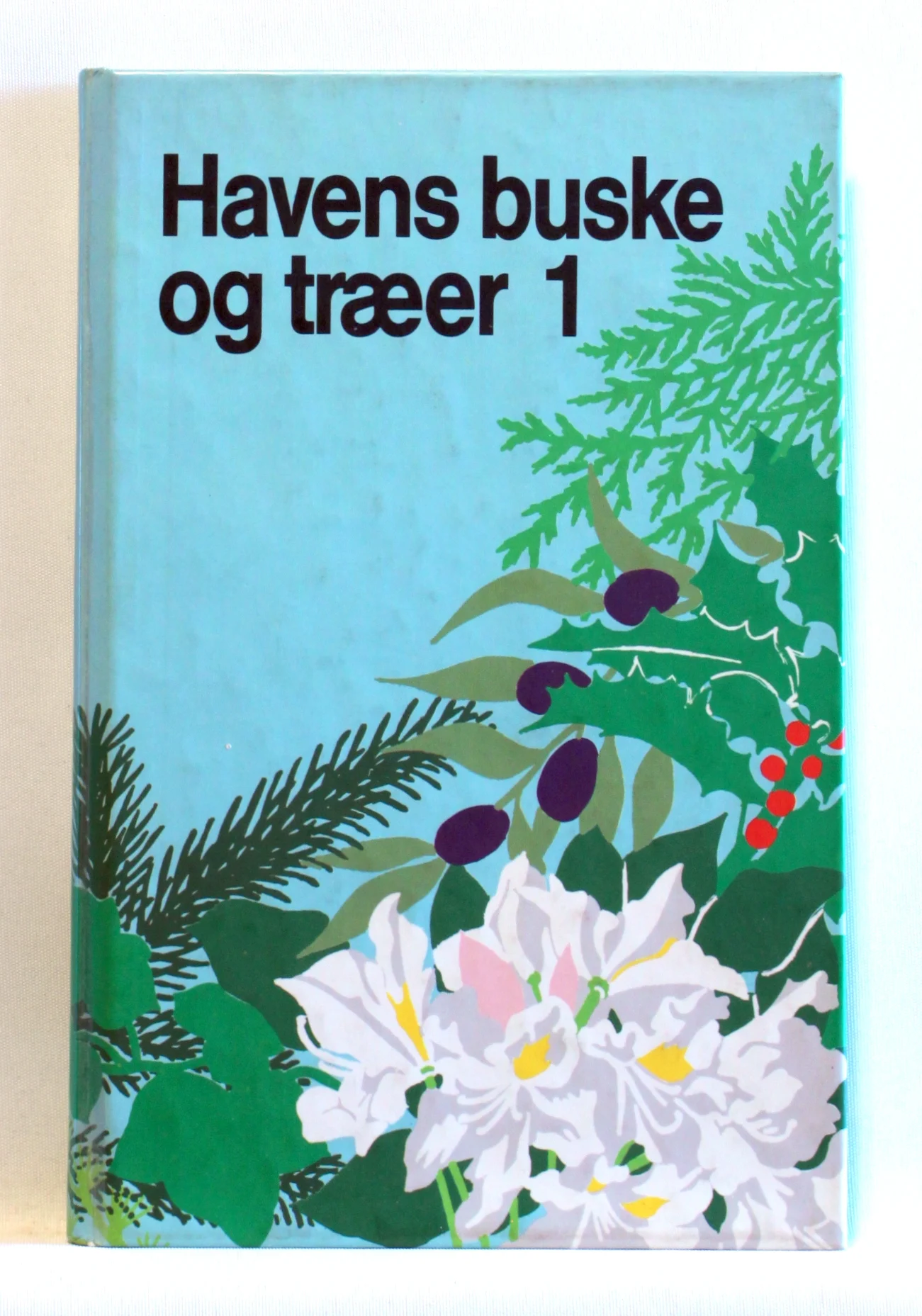 Havens buske og træer. Nåletræer, stedsegrønne, bladbærende buske og træer