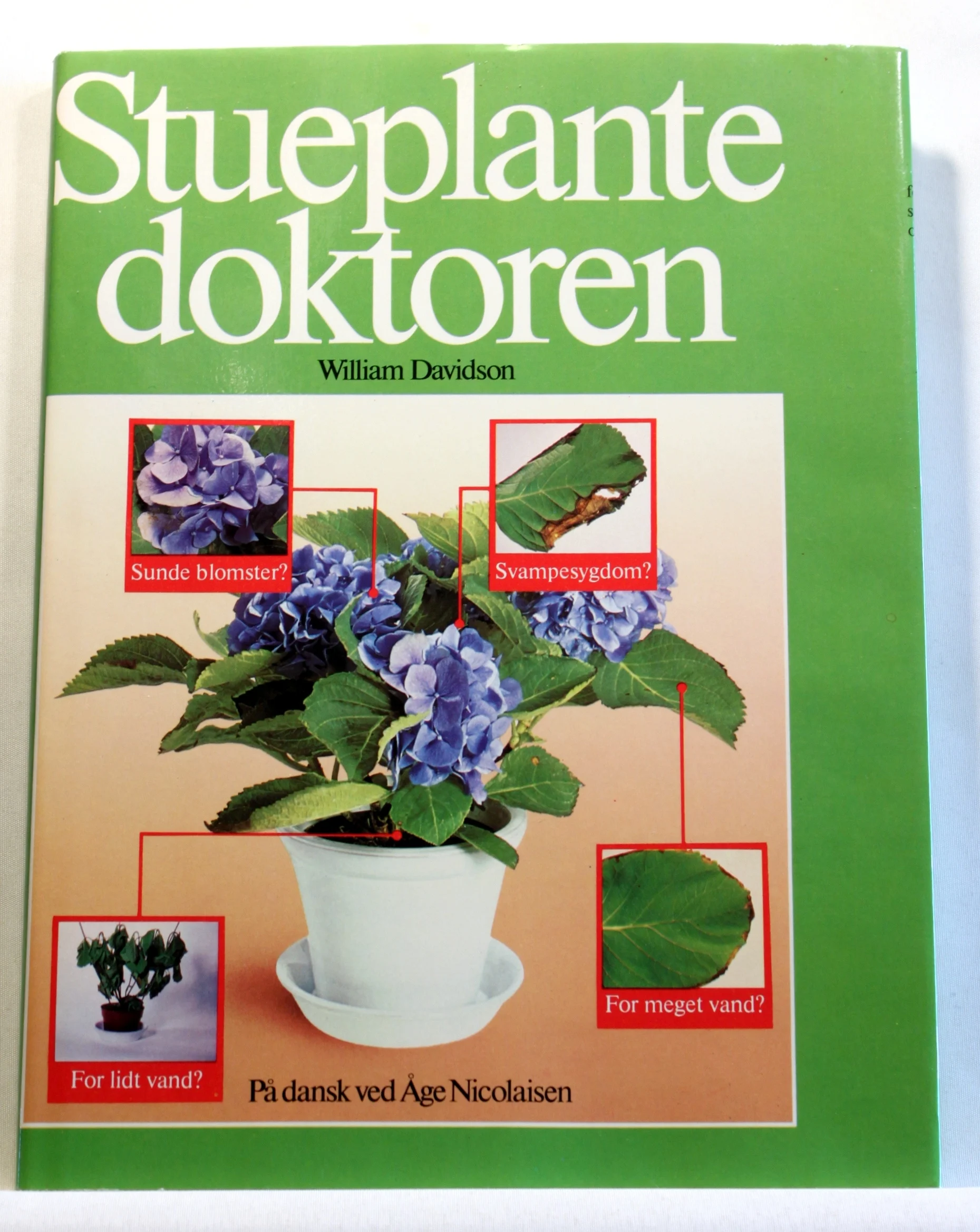 Stueplante doktoren