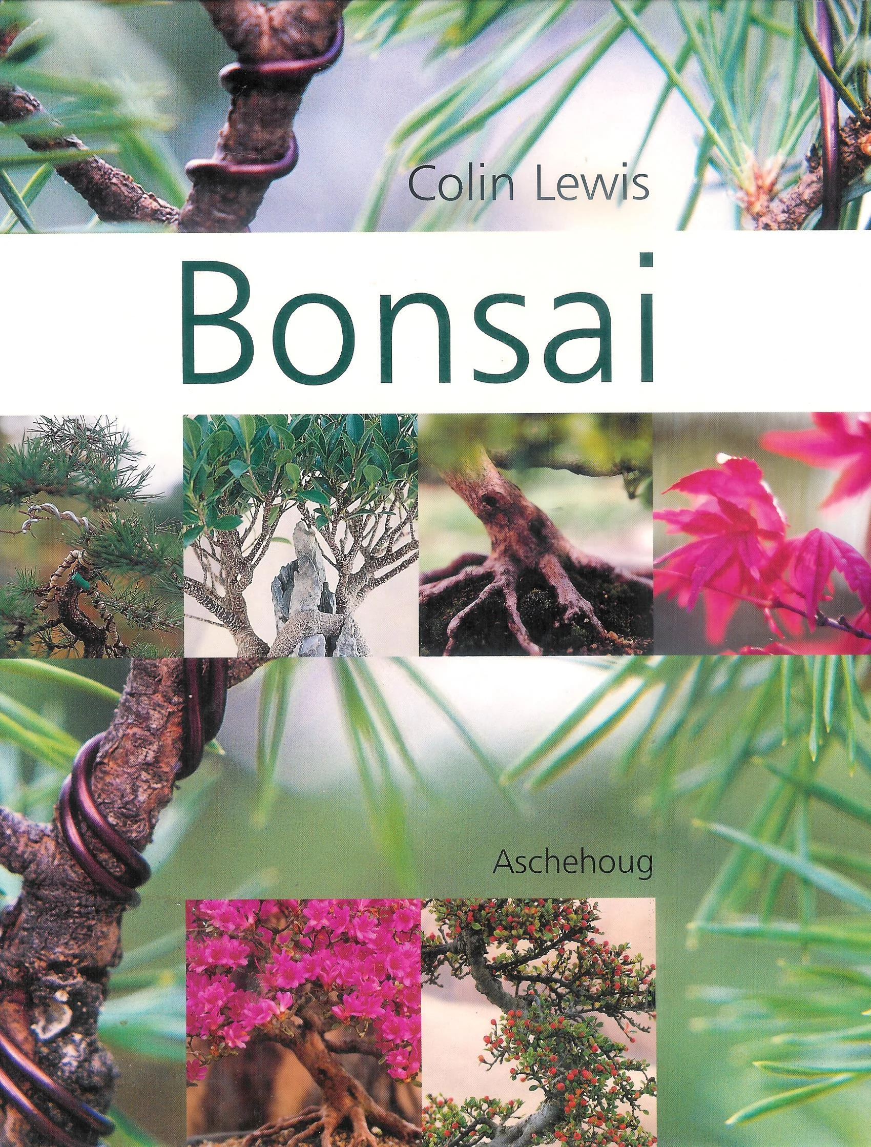 Bonsai