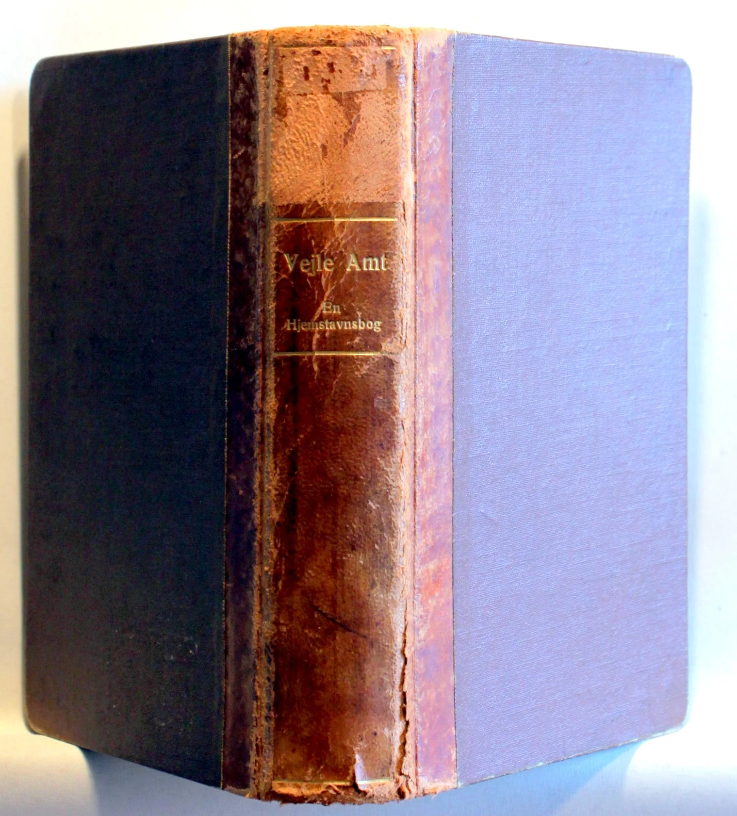 Vejle Amt. En hjemstavnsbog