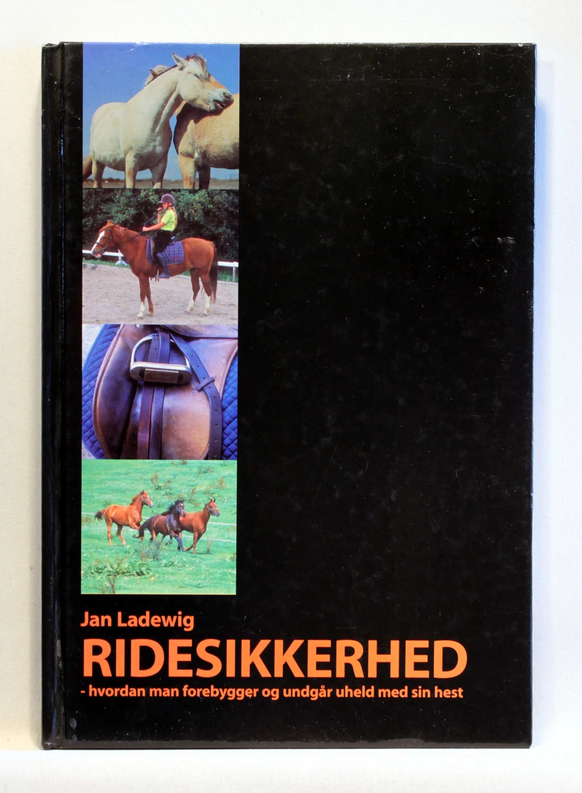 Ridesikkerhed – hvordan man forebygger og undgår uheld med sin hest