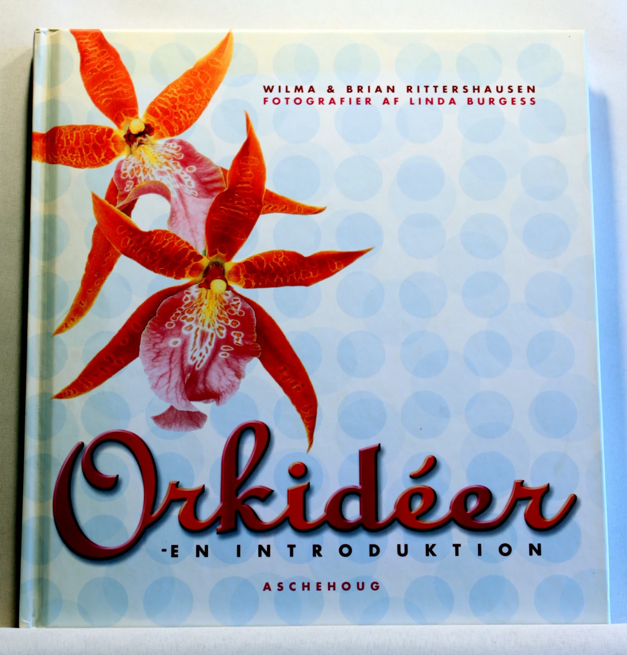 Orkideer – en introduktion