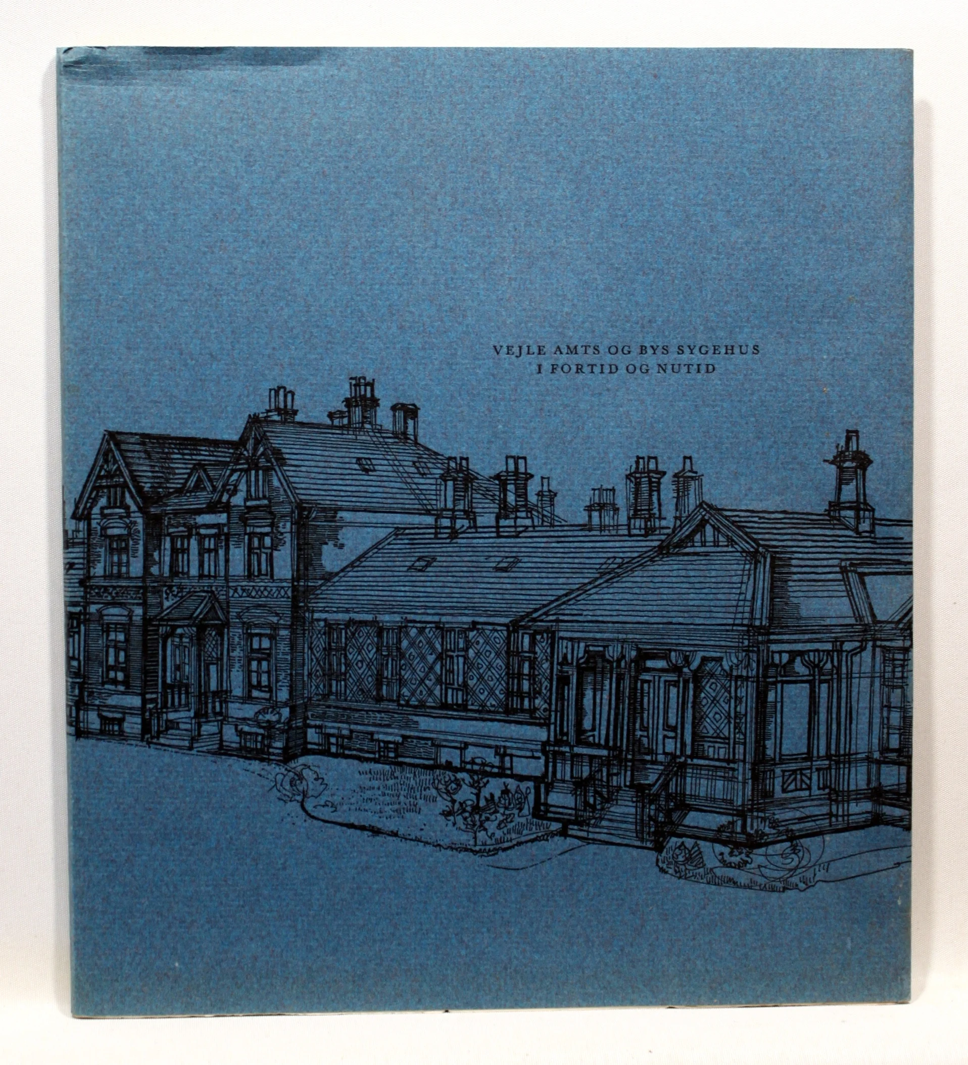 Vejle Amts og Bys Sygehus i fortid og nutid 1890-1965