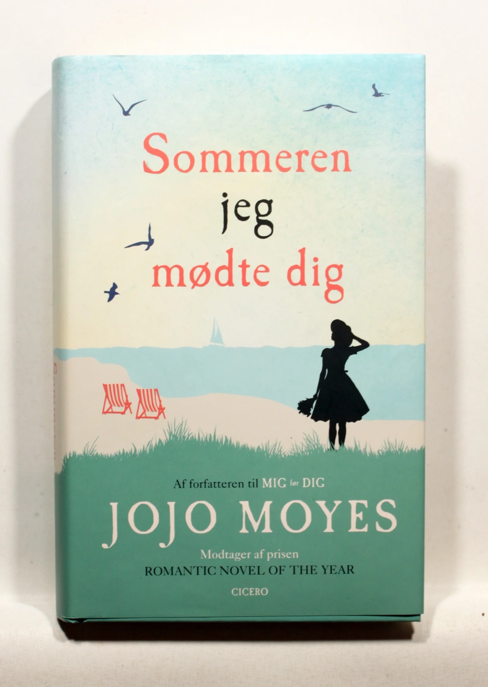 Sommeren jeg mødte dig