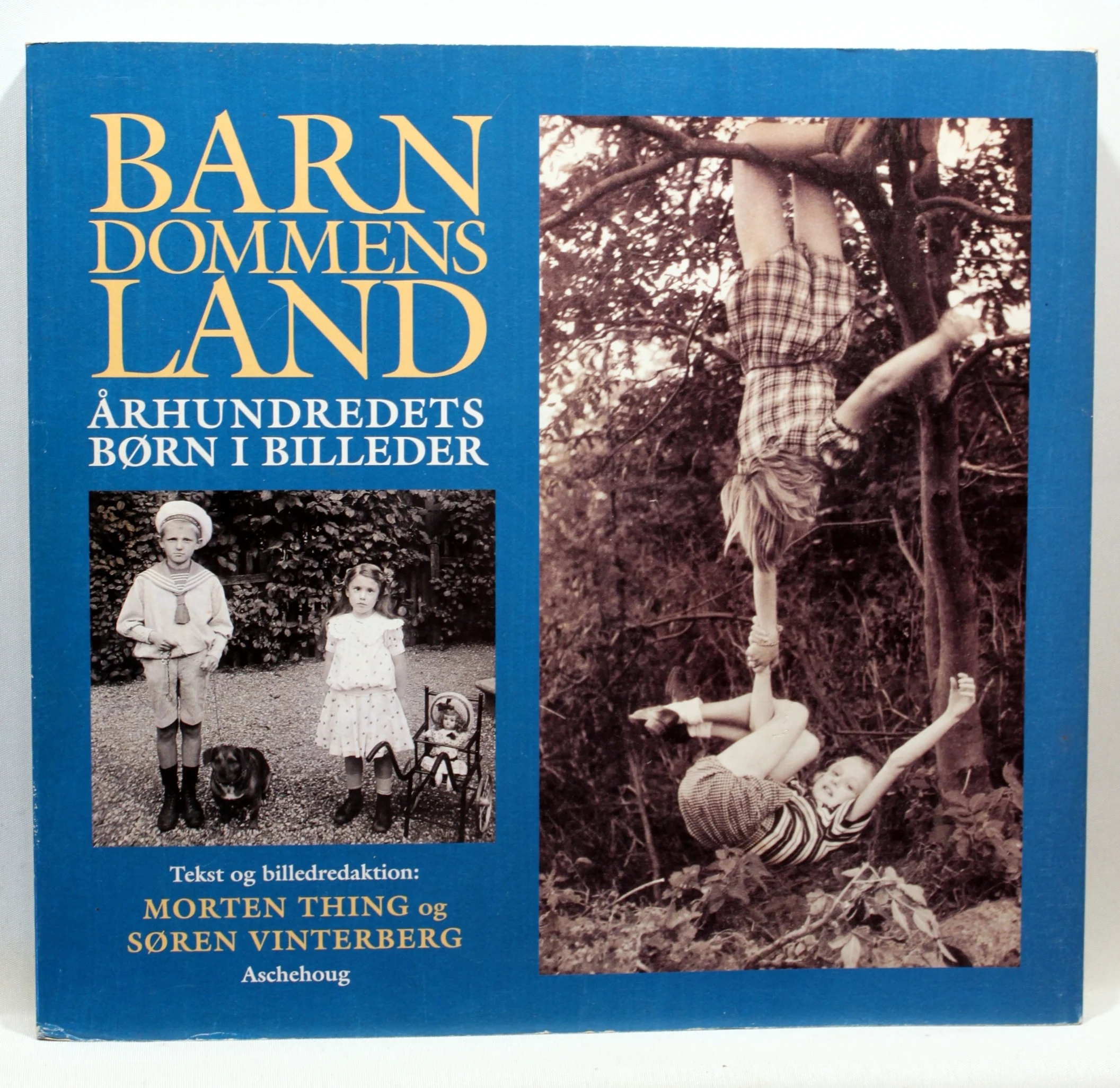 Barndommens land. Århundredets børn i billeder