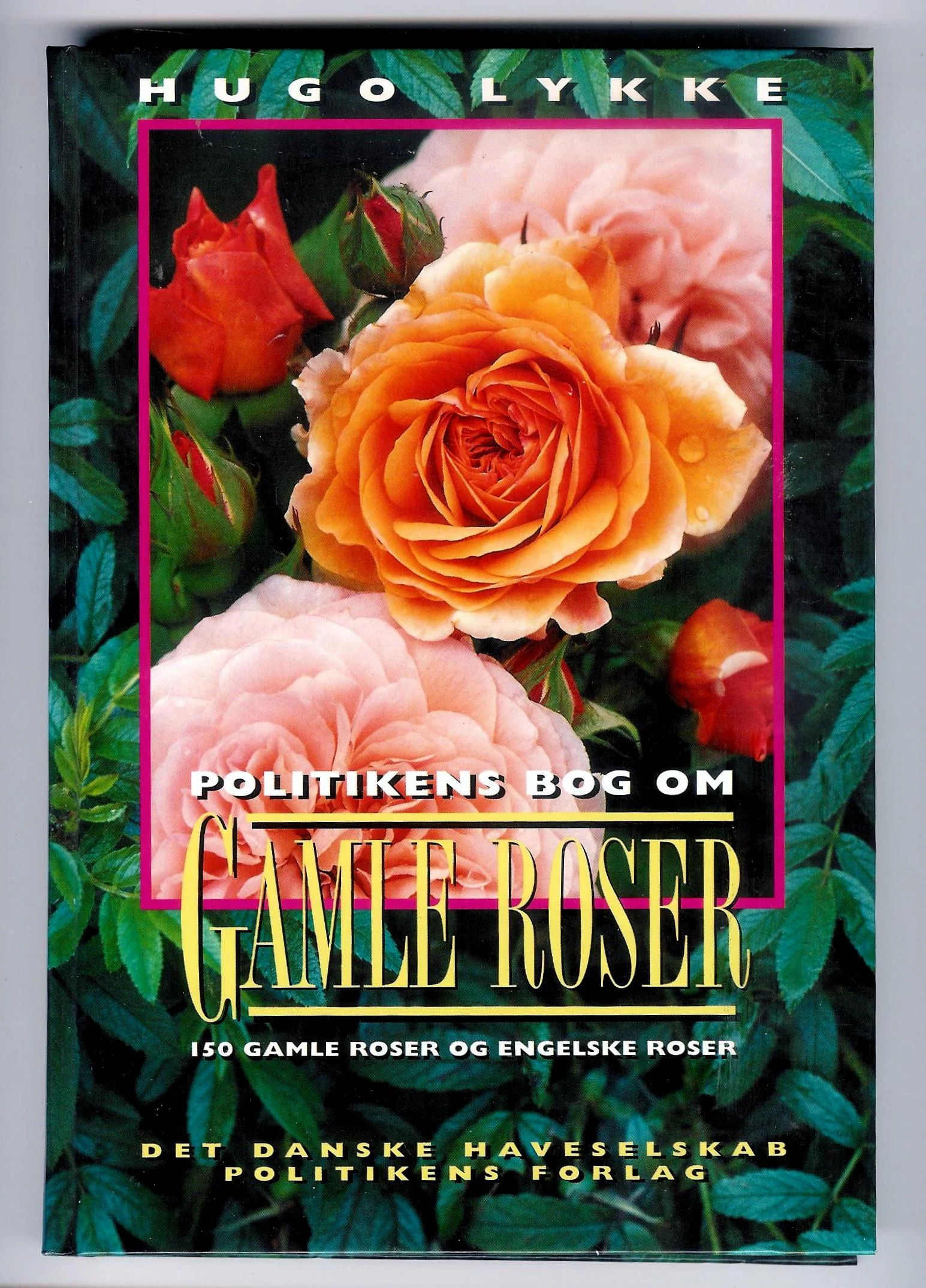 Politikens bog om gamle roser