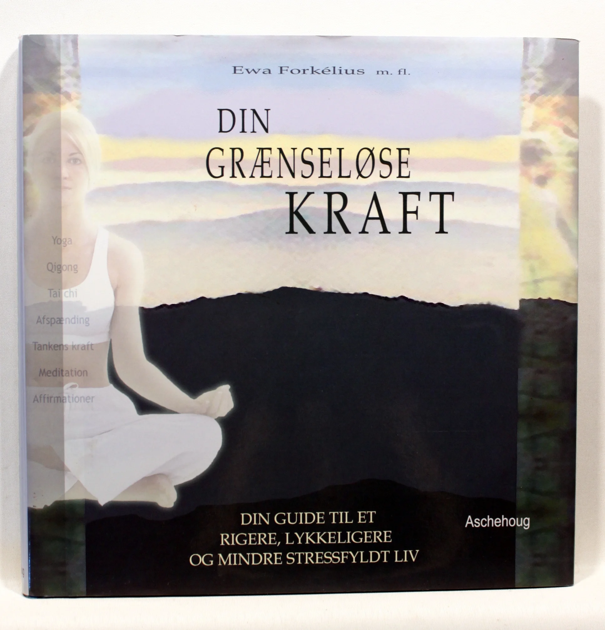 Din grænseløse kraft. Din guide til et rigere, lykkeligere og mindre stressfyldt liv