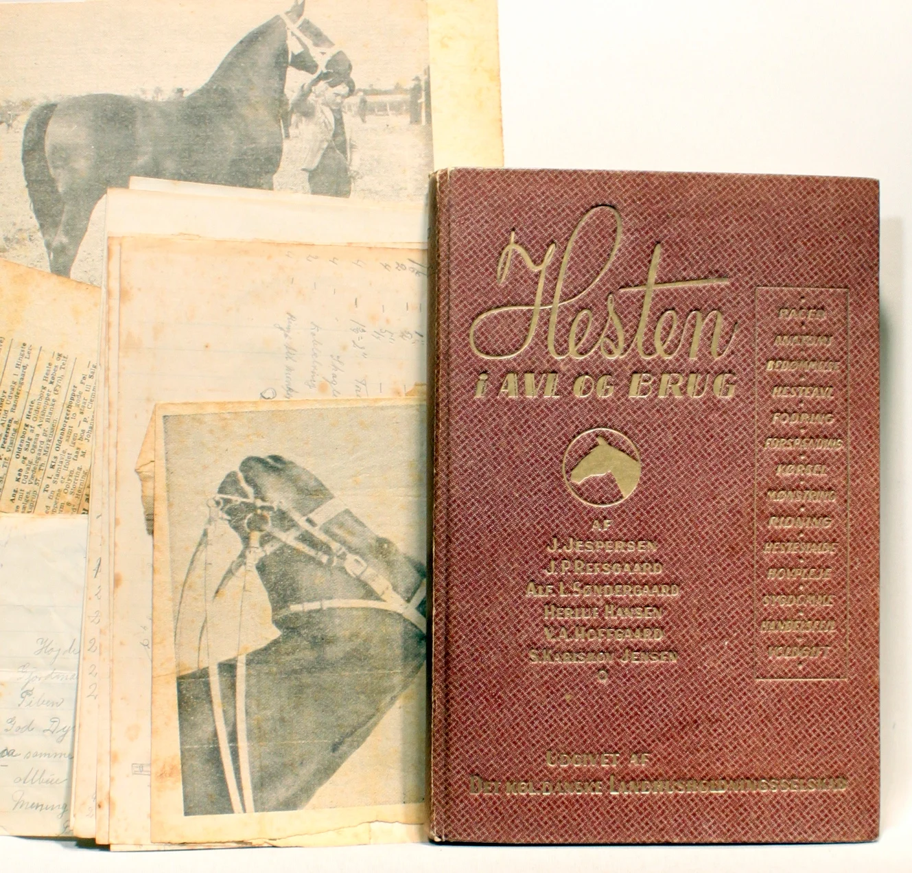 Hesten i Avl og Brug