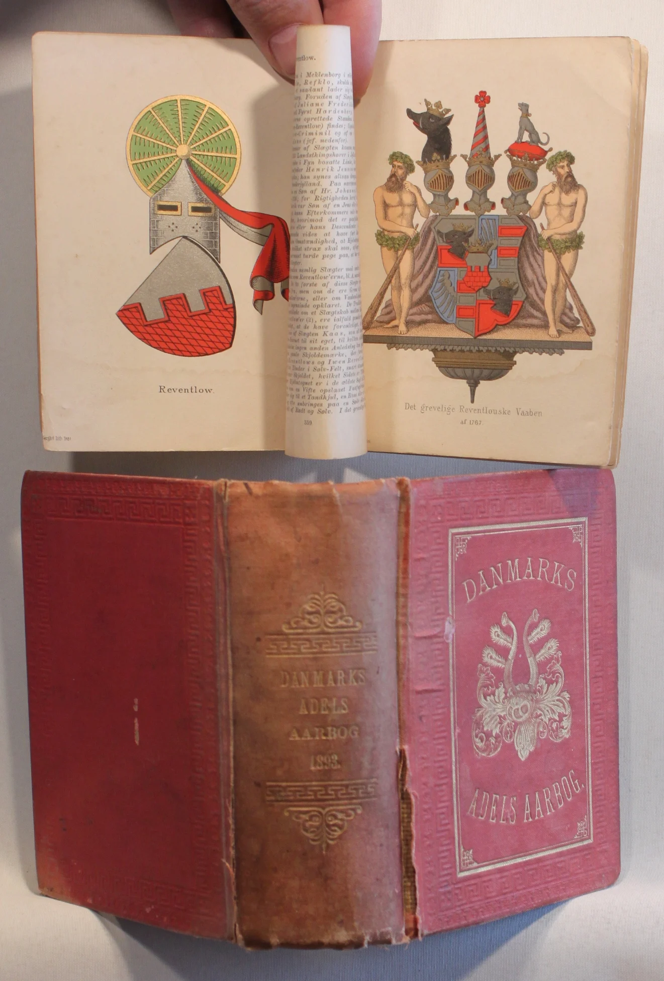 Danmarks Adels Aarbog 1893