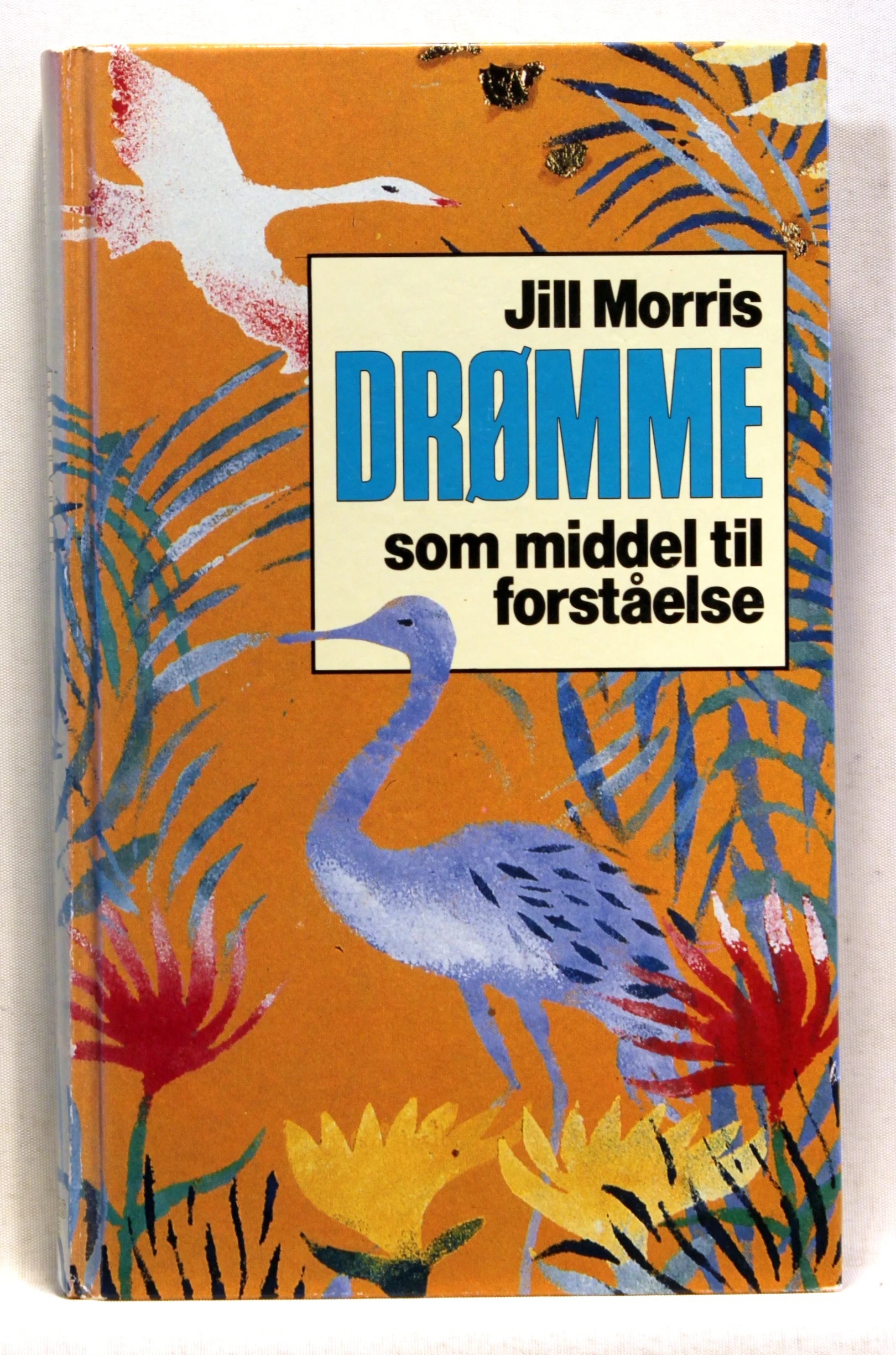 Drømme som middel til forståelse