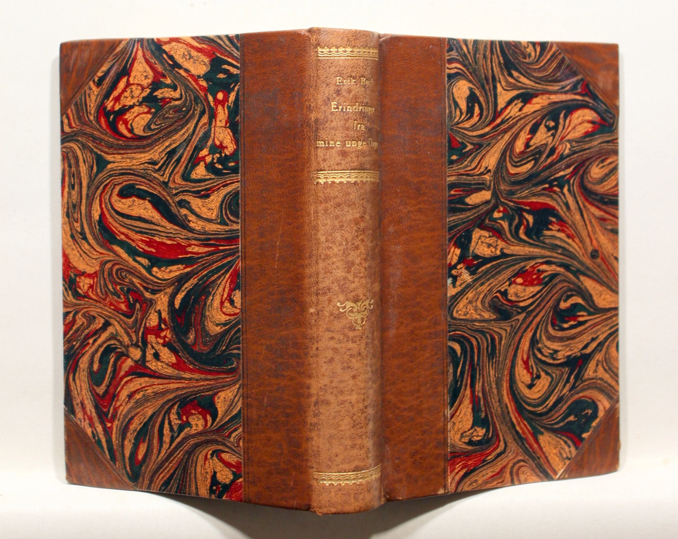 Erindringer fra mine unge dage