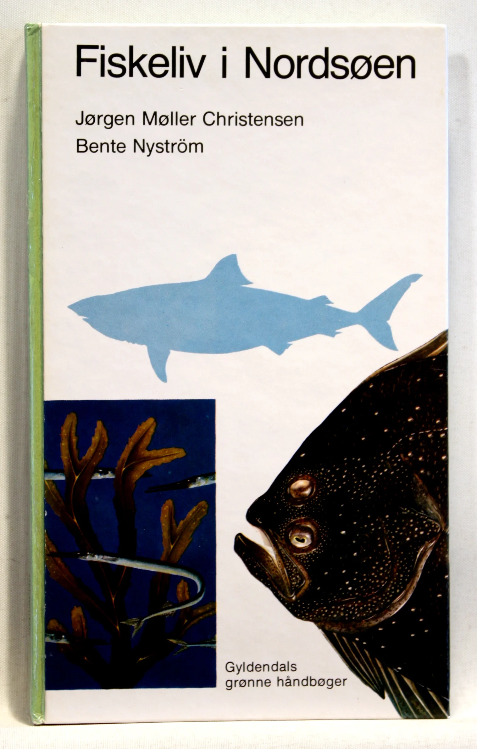 Fiskeliv i Nordsøen