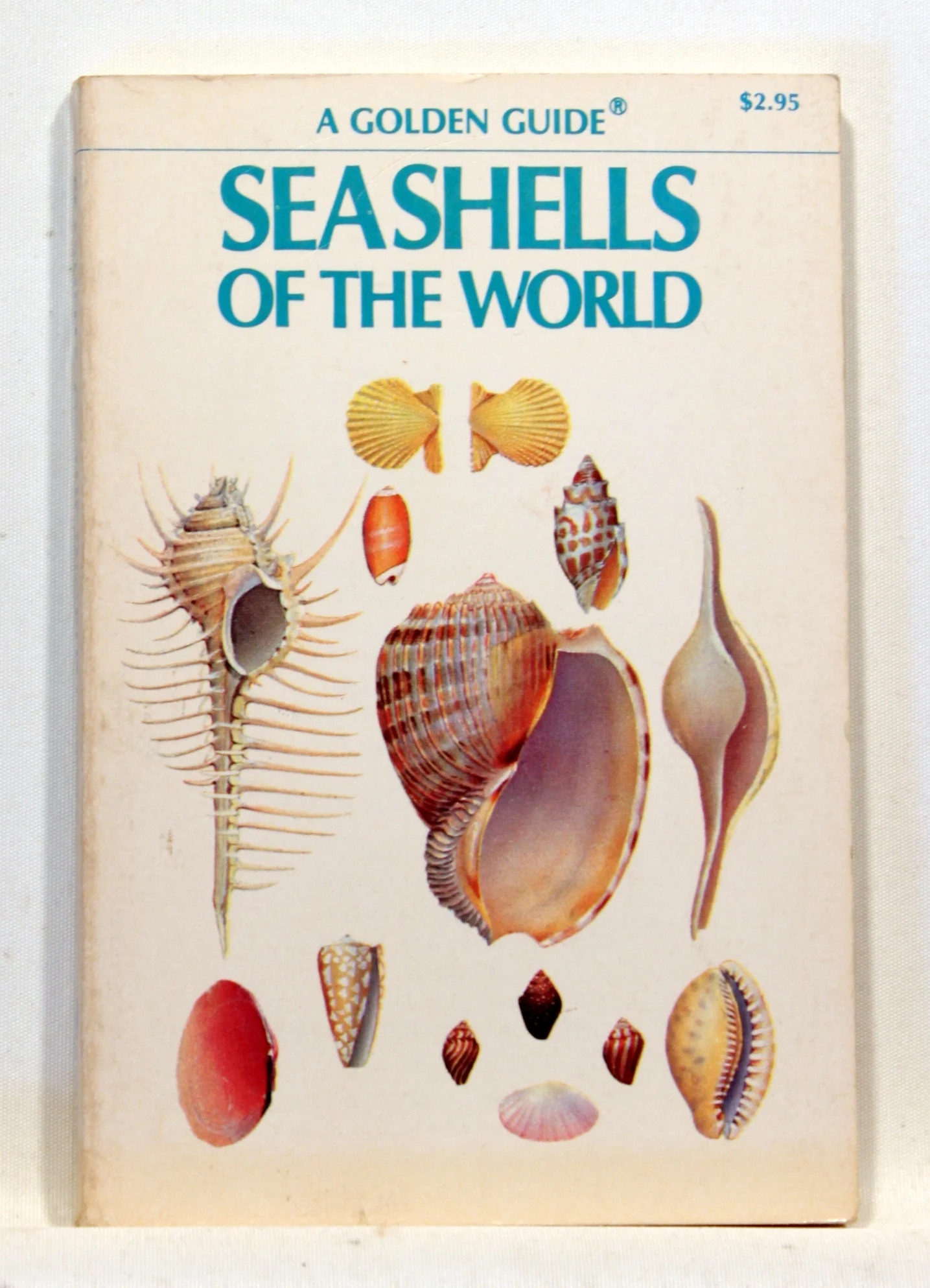 Seashells of the World