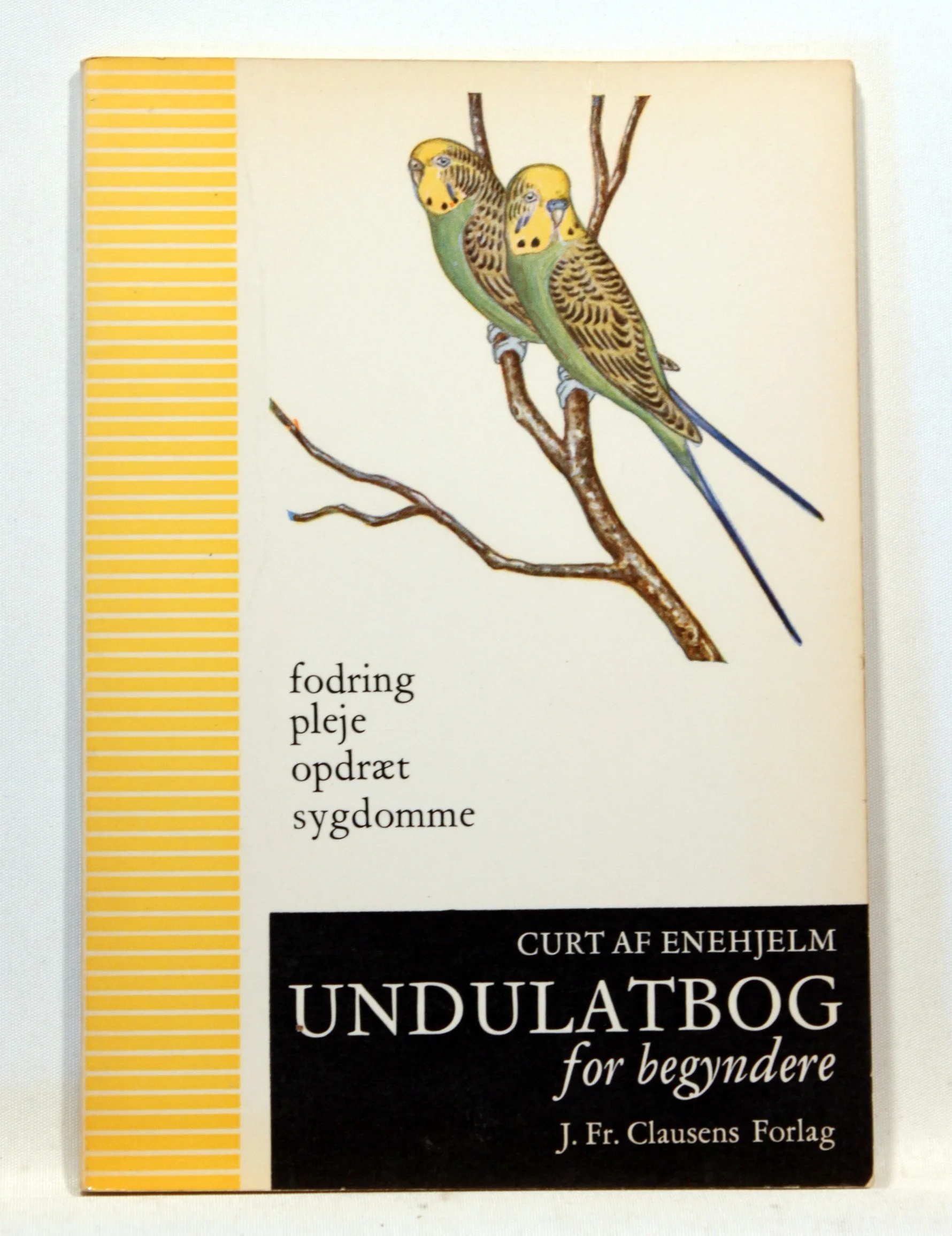 Undulatbog for begyndere