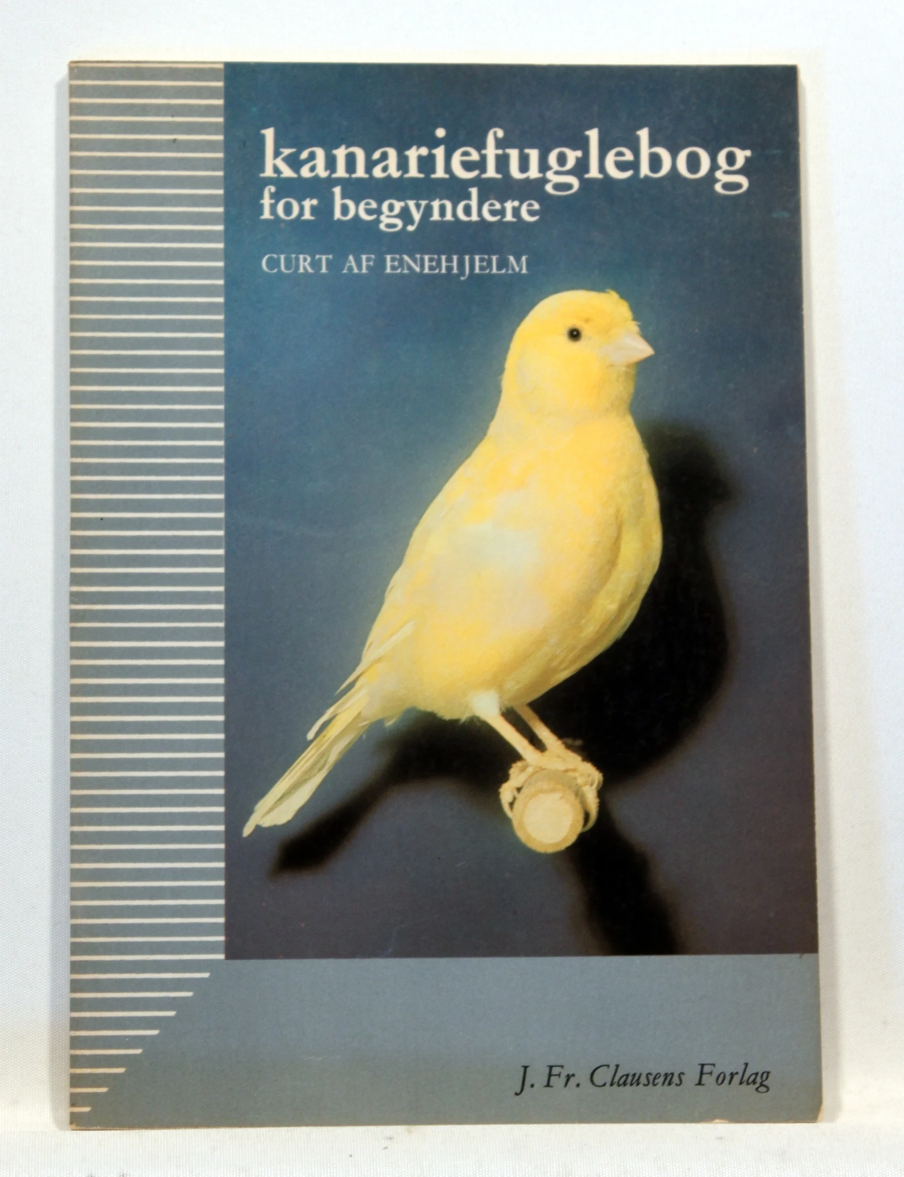 Kanariefuglebog for begyndere