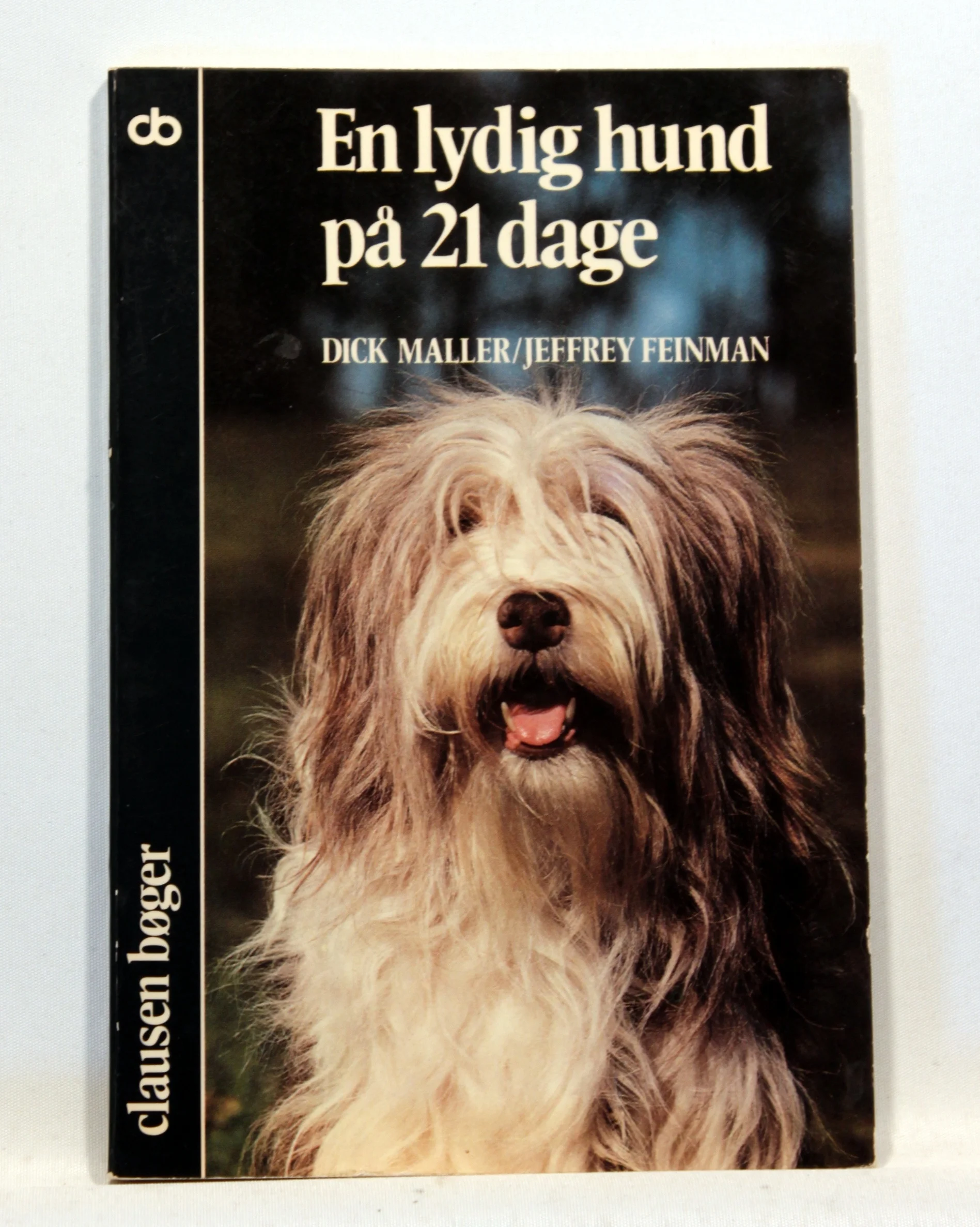 En lydig hund på 21 dage