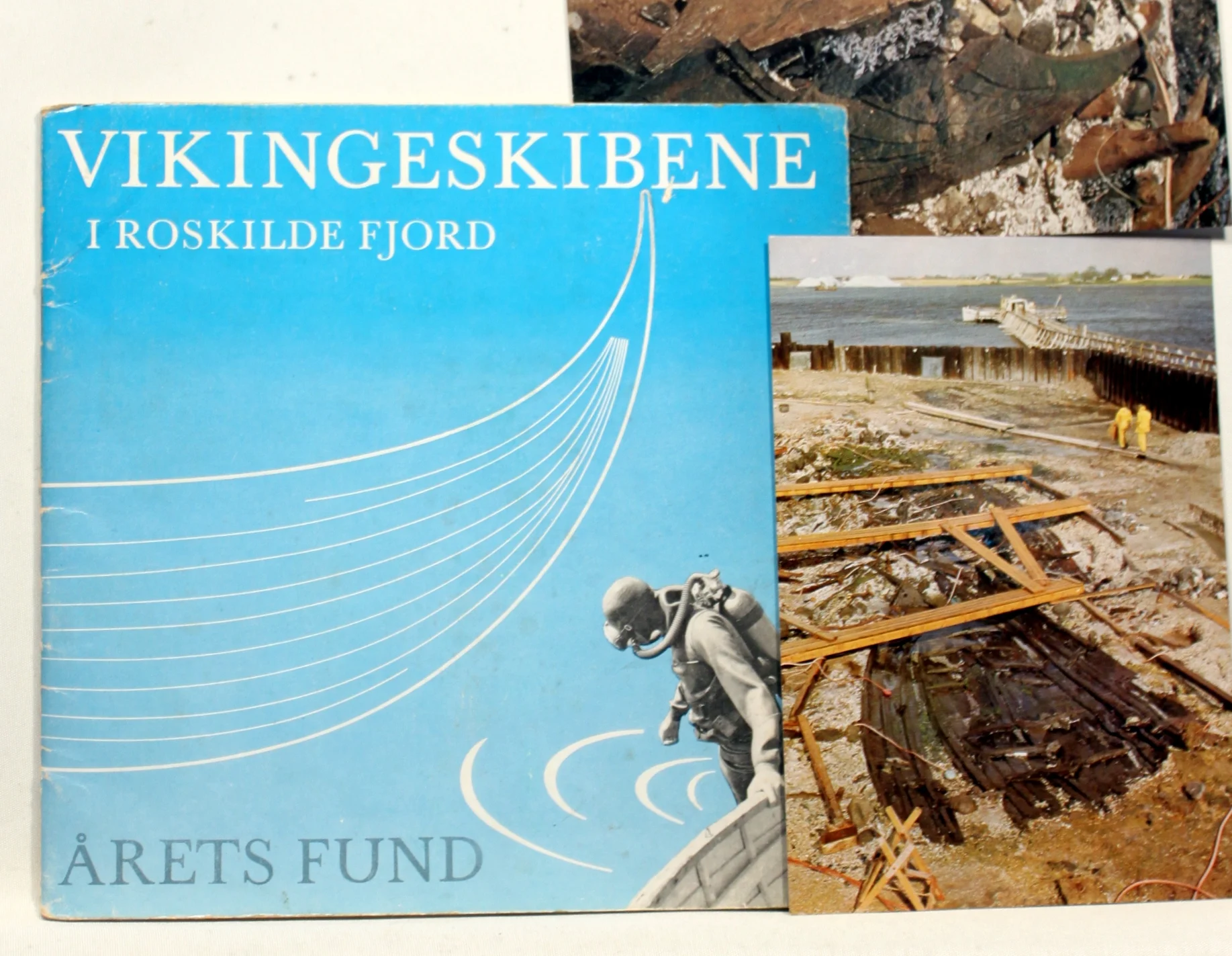 Vikingeskibene i Roskilde fjord